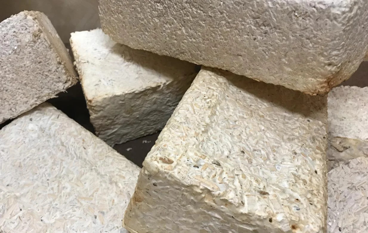 Mycelia-Bricks_jpg_92.jpg