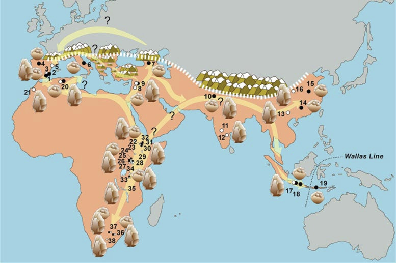European-Hominids-Route_jpg_92.jpg