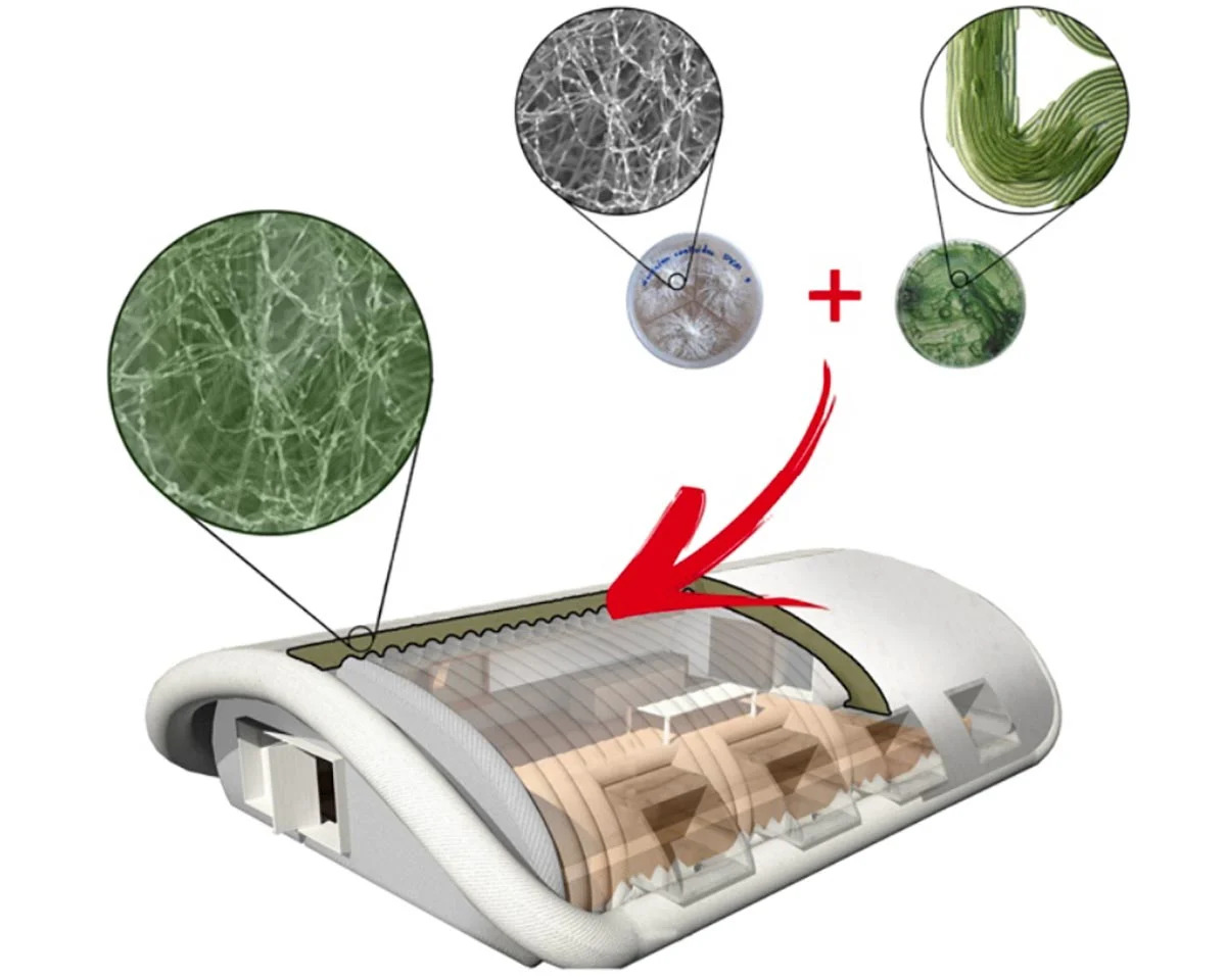 Myco-architecture_jpg_92.jpg