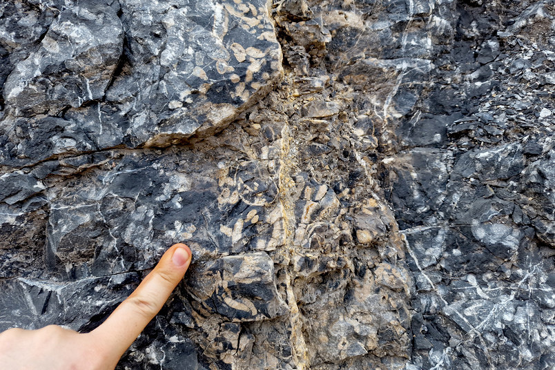 Fossils-of-Corals-and-Brachiopods-in-the-Greyish-Massenkalk-Limestone_jpg_92.jpg