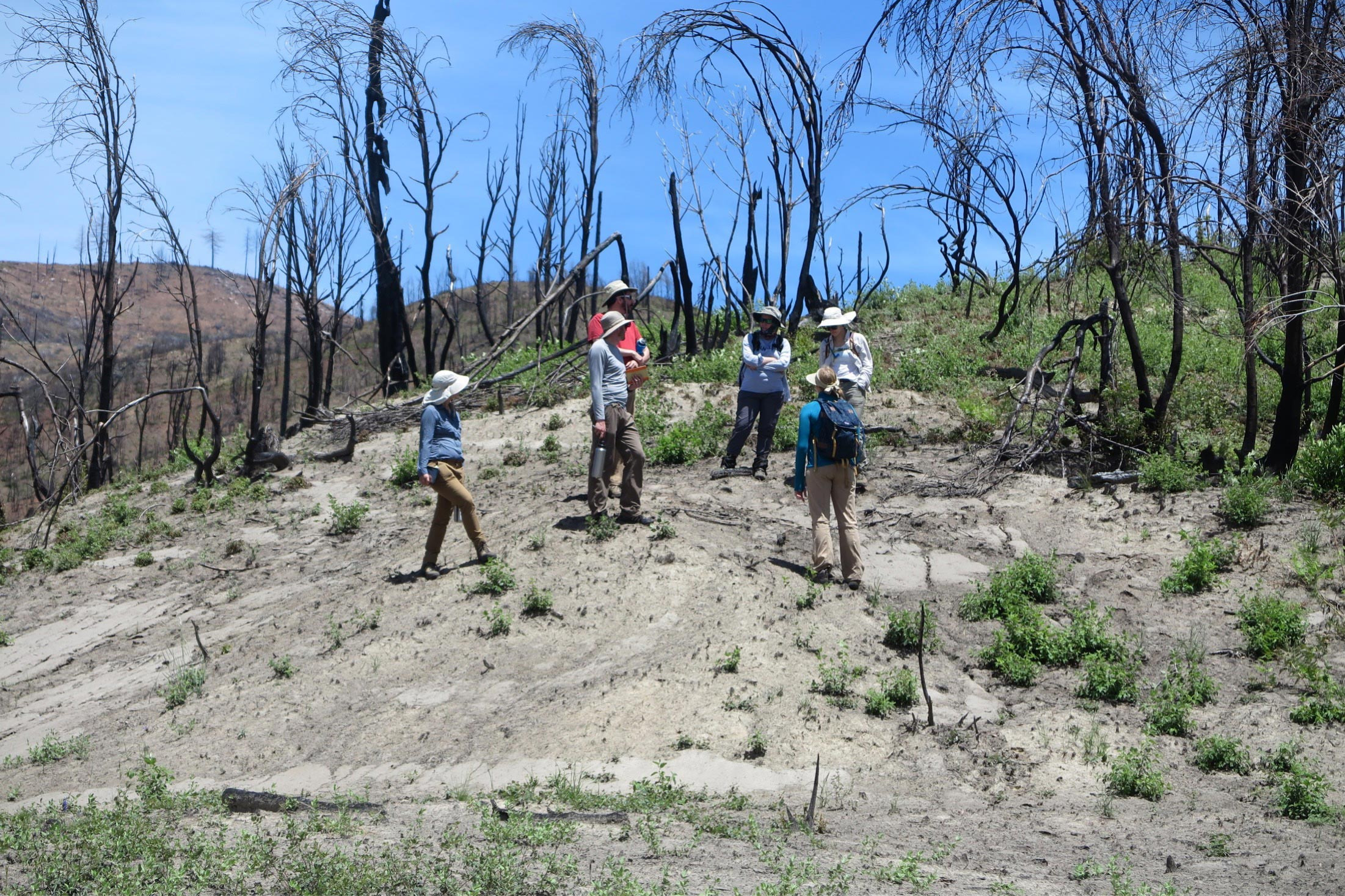 Camp-Fire-Site-Post-Wildfire_jpg_92.jpg