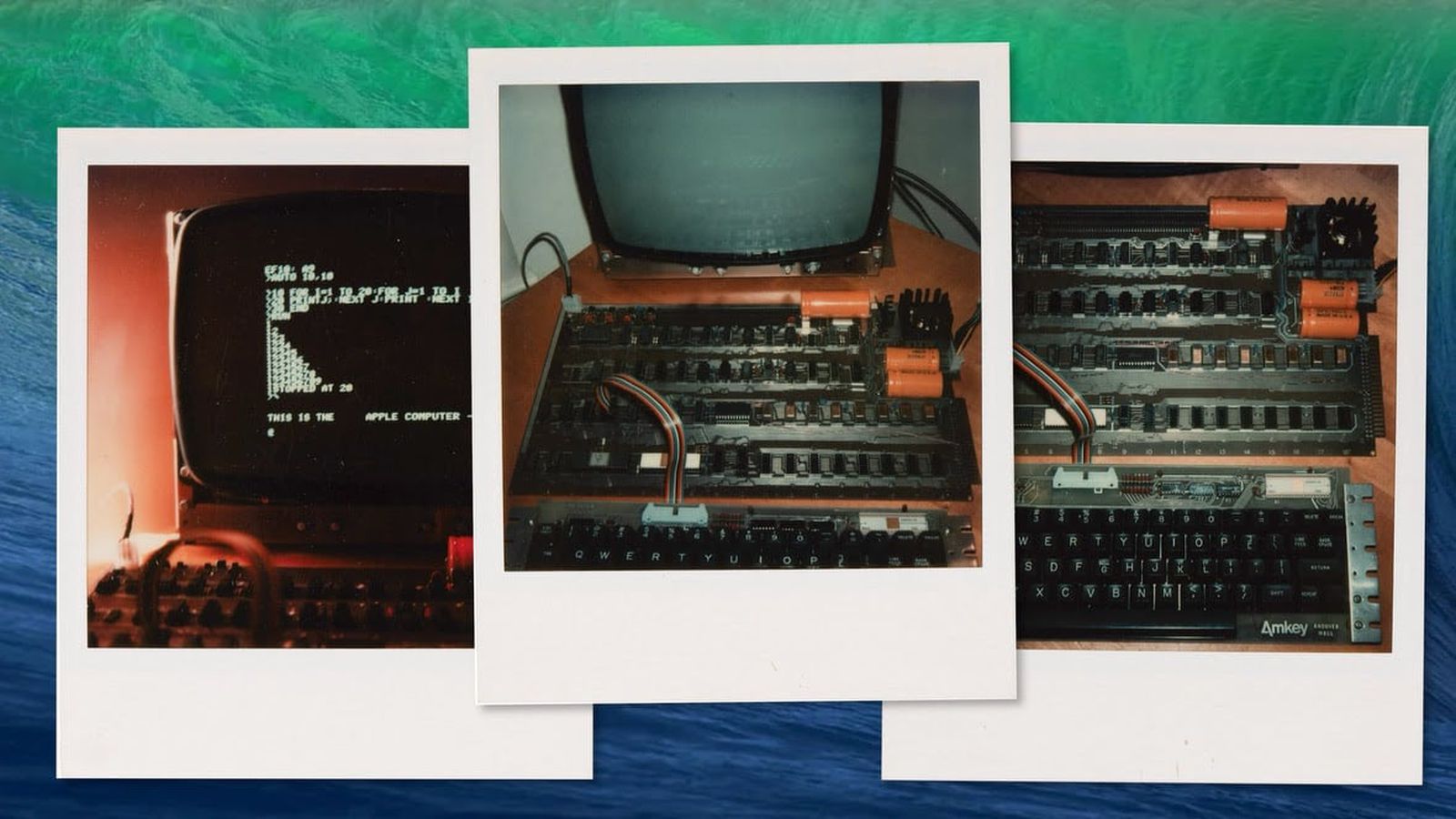 jobs-polaroids-auction.jpg