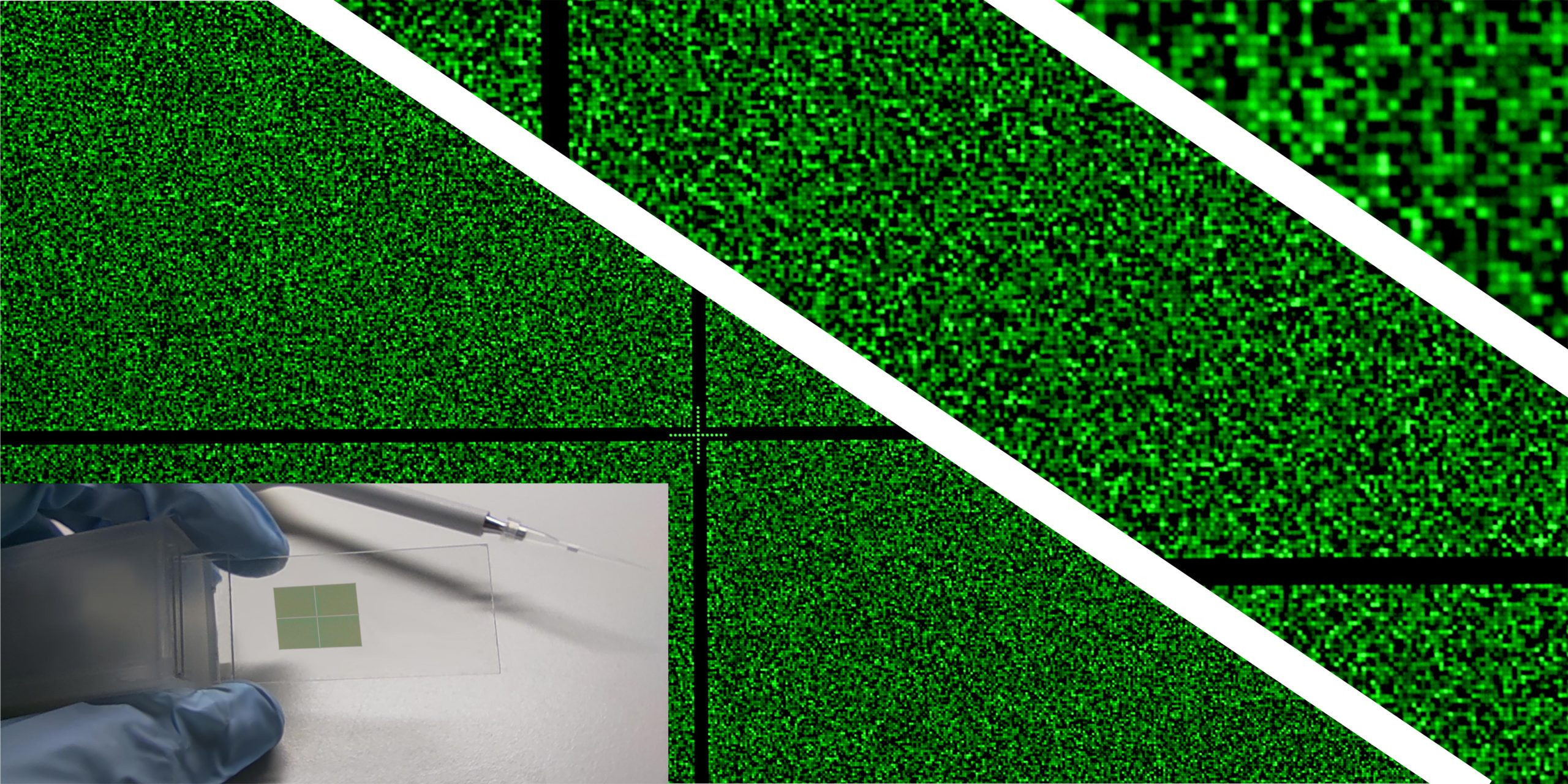 High-Density-RNA-Microchip-scaled_jpg_92.jpg