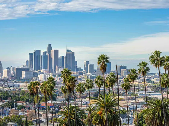 LA_web_shutterstock_1887700108-560x420.jpg.webp