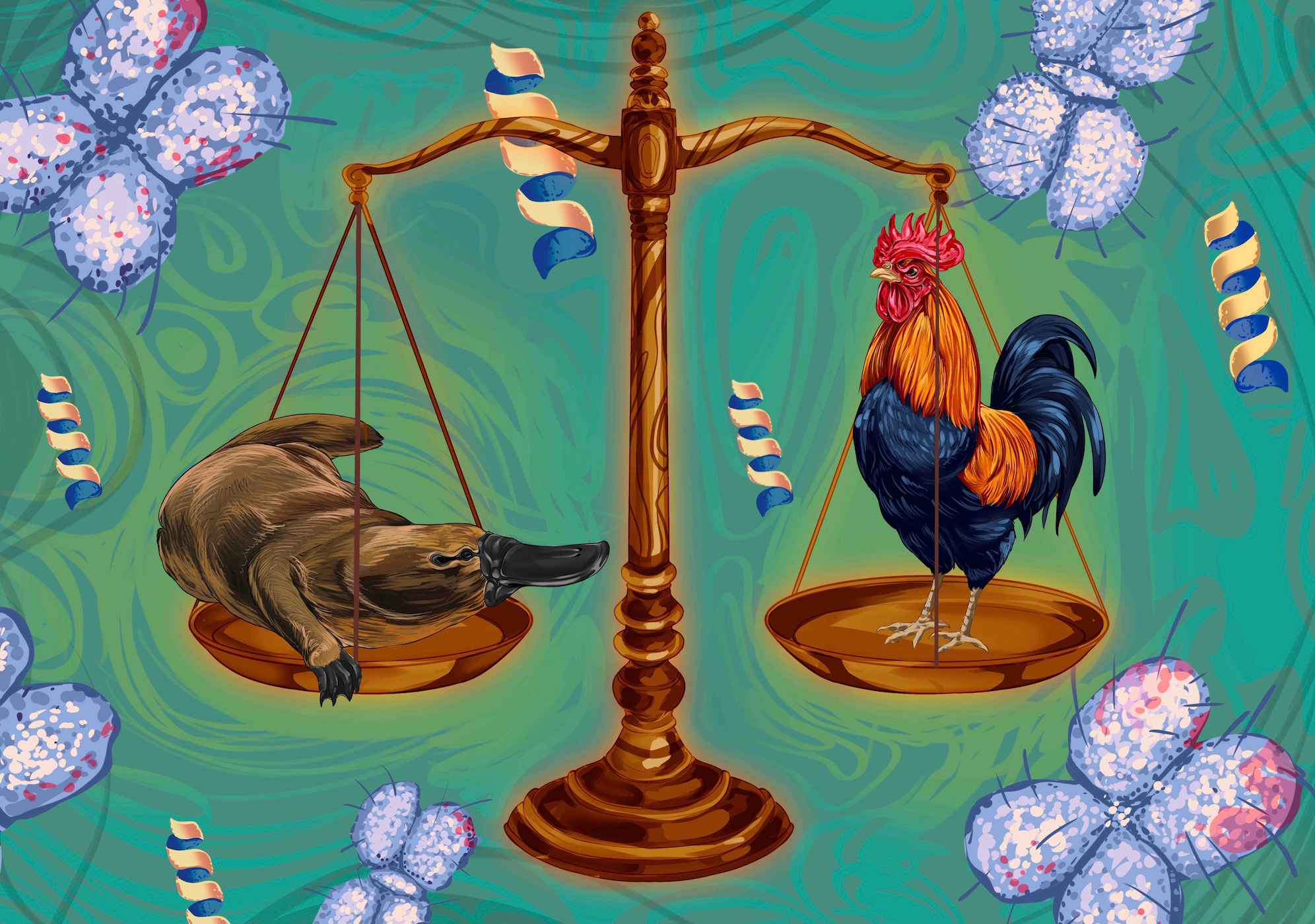 Platypus-and-Chicken-on-Scale-Illustration_jpg.jpg