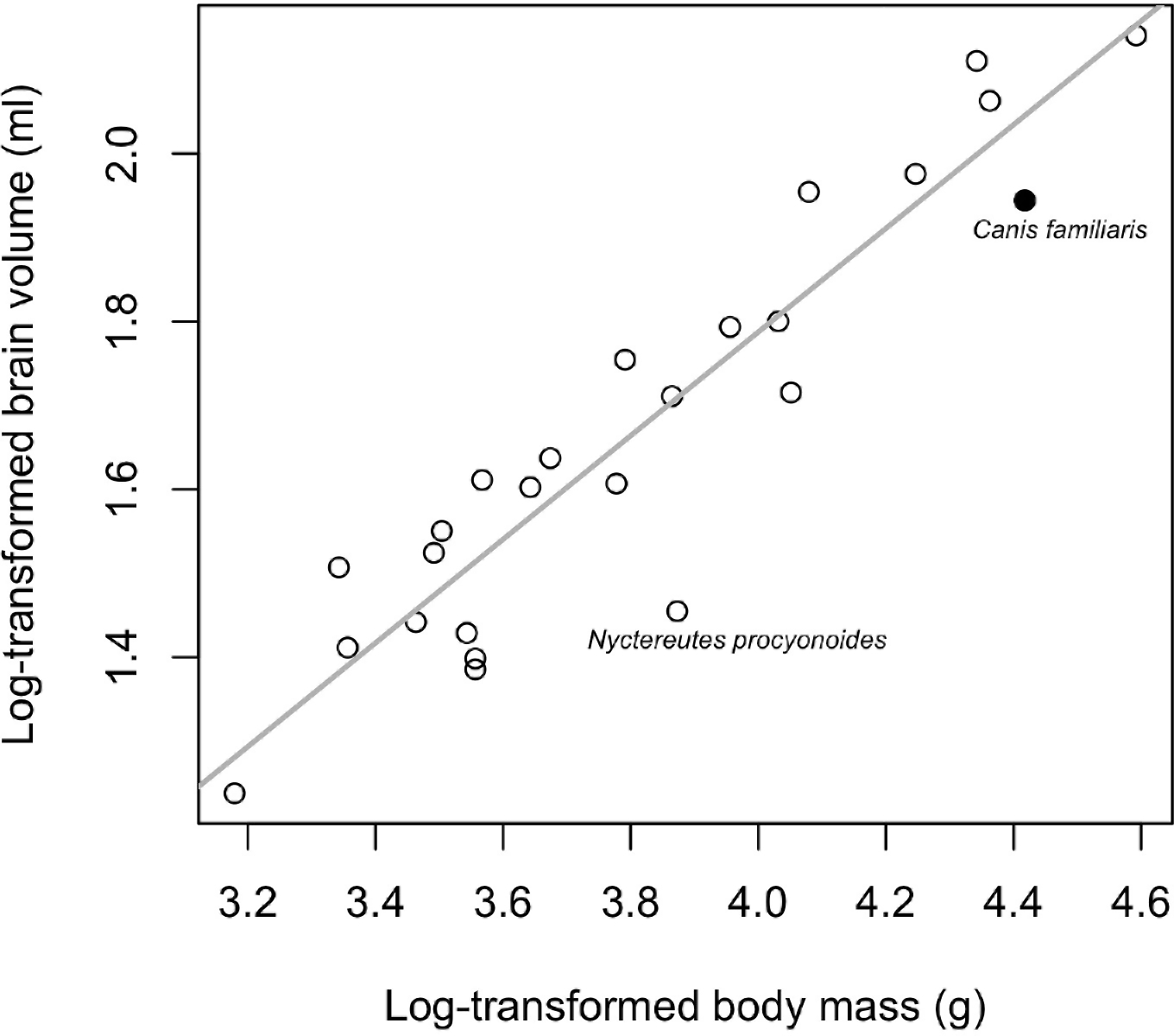 Allometric-Relationship-Between-Brain-and-Body-Size-in-Canids_png.jpg