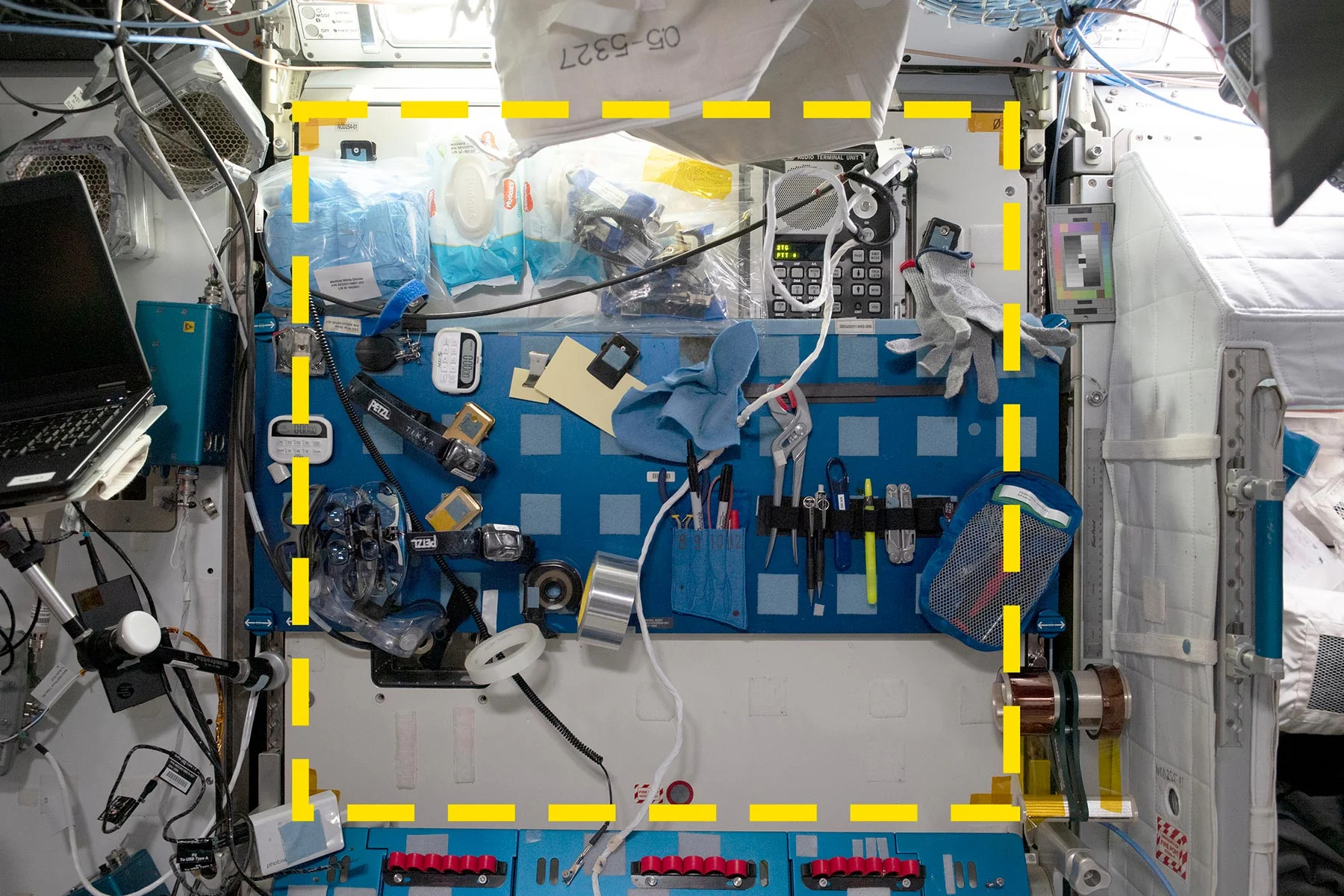 Sampling-Quadrangle-Assemblages-Research-Experiment-SQuARE_jpg(1).jpg