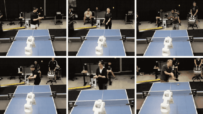 Collage-of-Matches-Video.2024-08-08-11_59_06.gif