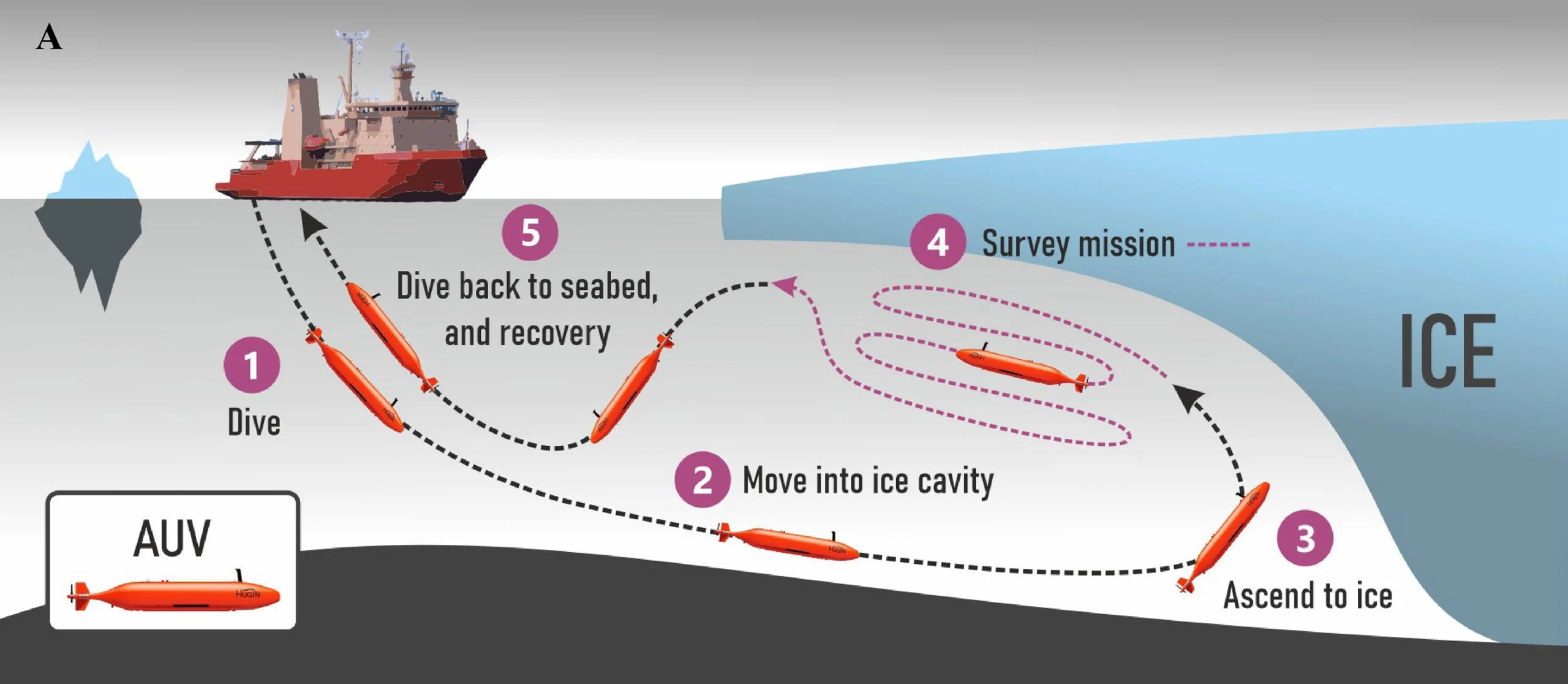 Submarine-Dive-Under-Dotson-Graphic-scaled_jpg(1).jpg