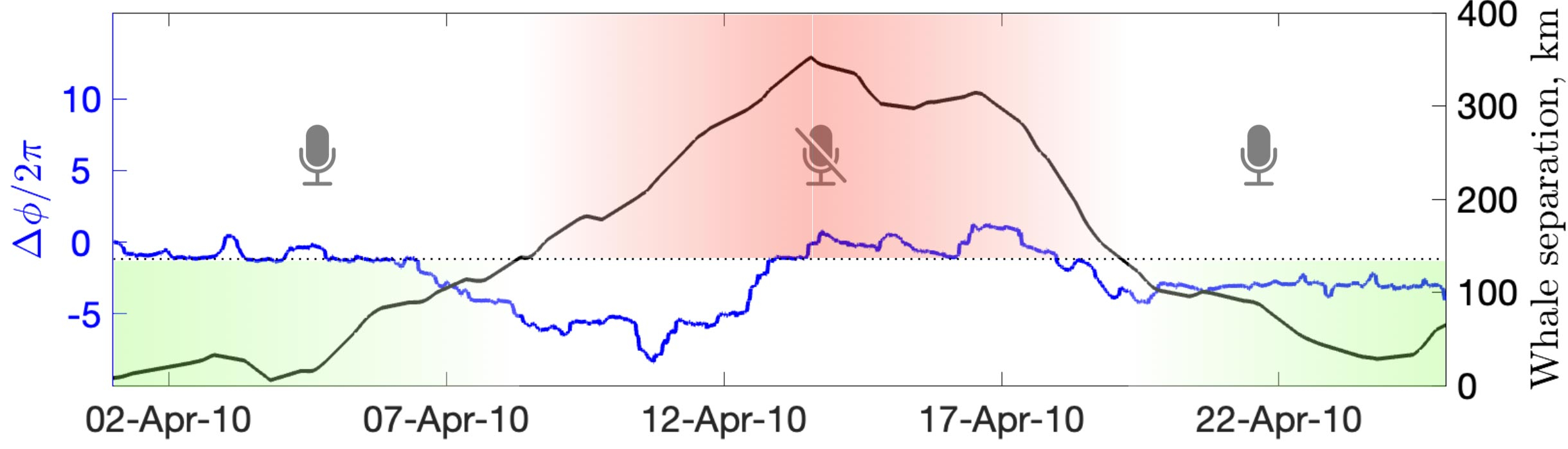 Synchronization-of-Whale-Behavior_jpg.jpg