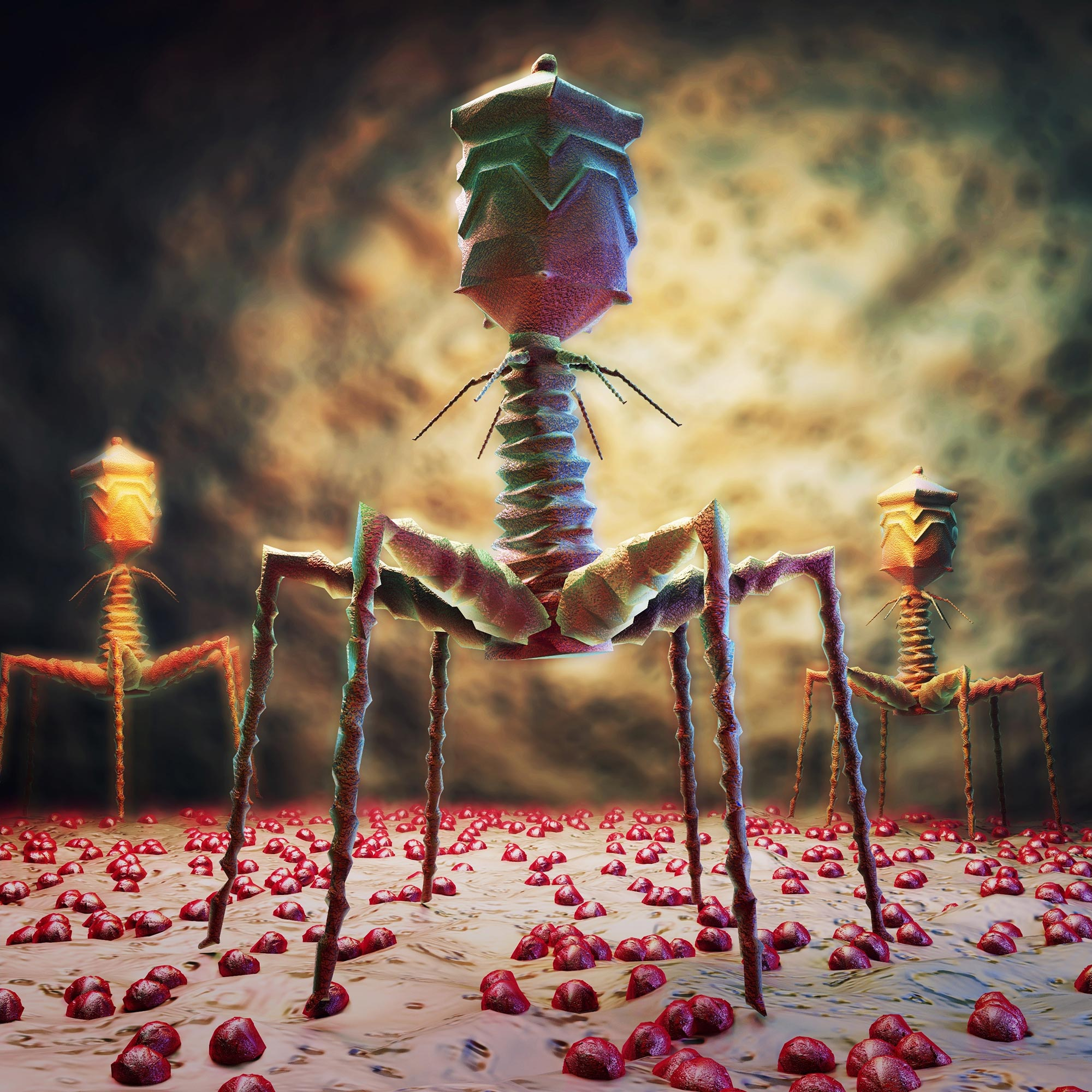 Illustration-of-Bacteriophages_jpg.jpg