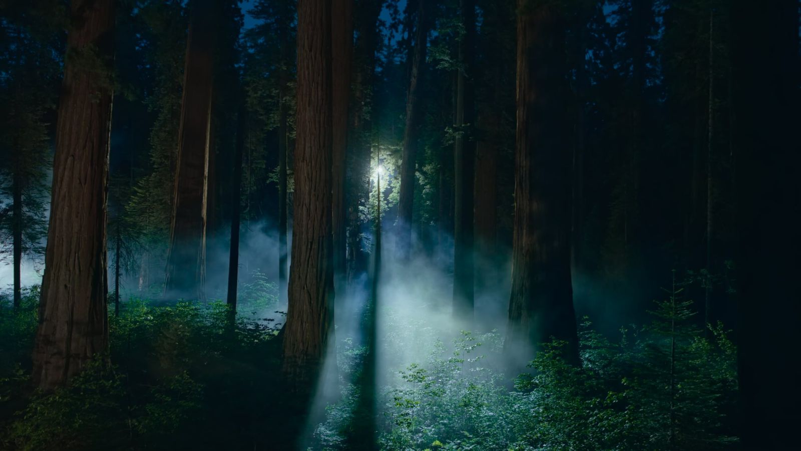 macos-sequoia-wallpaper-night.jpg