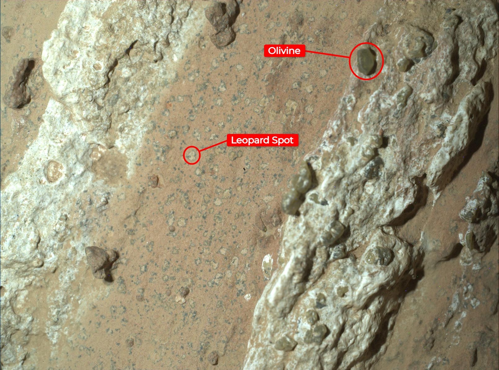 Cheyava-Falls-Rock-Leopard-Spots-Annotated.jpg