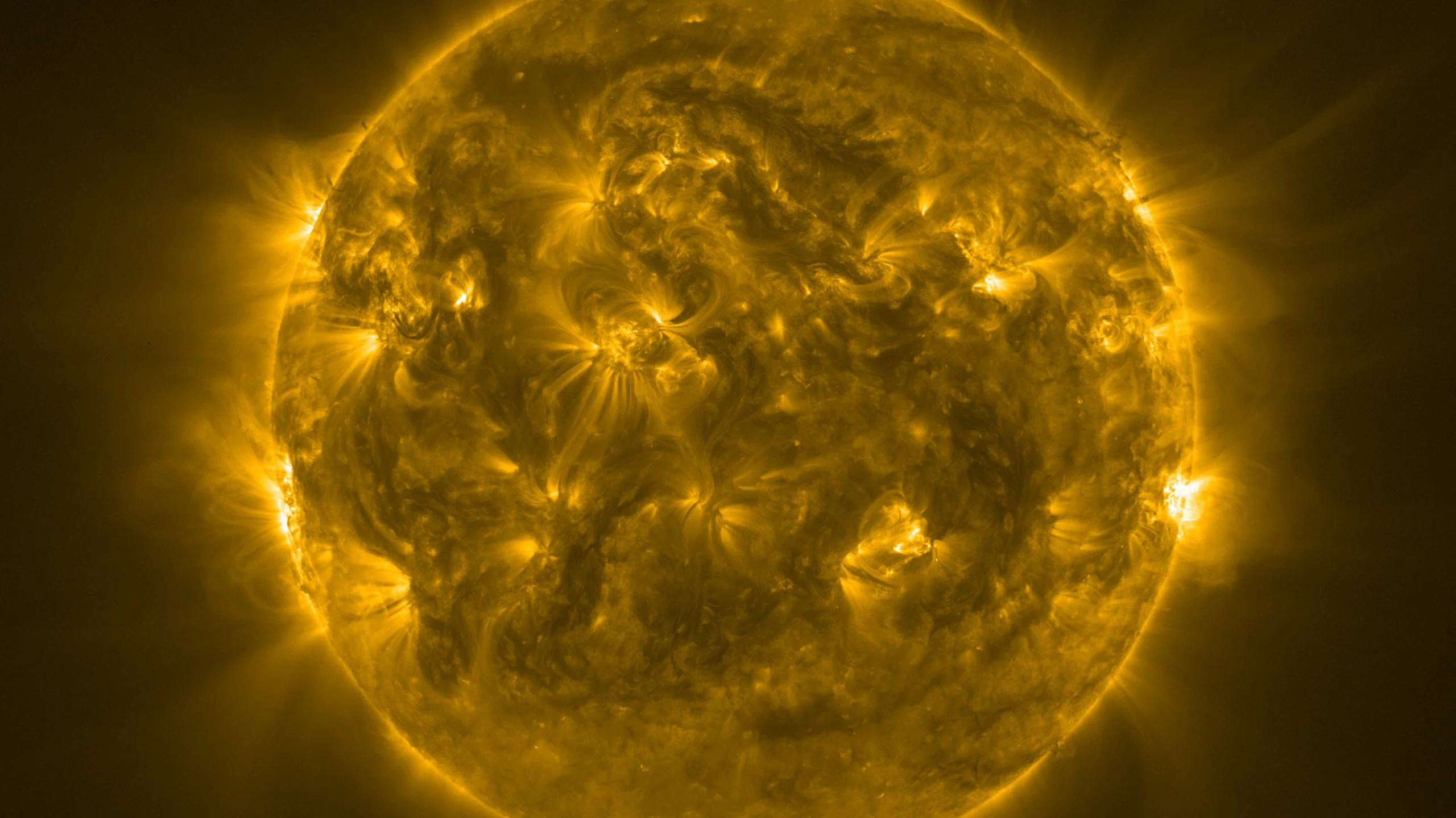Sun-Solar-Orbiter-October-2023-scaled_jpg.jpg