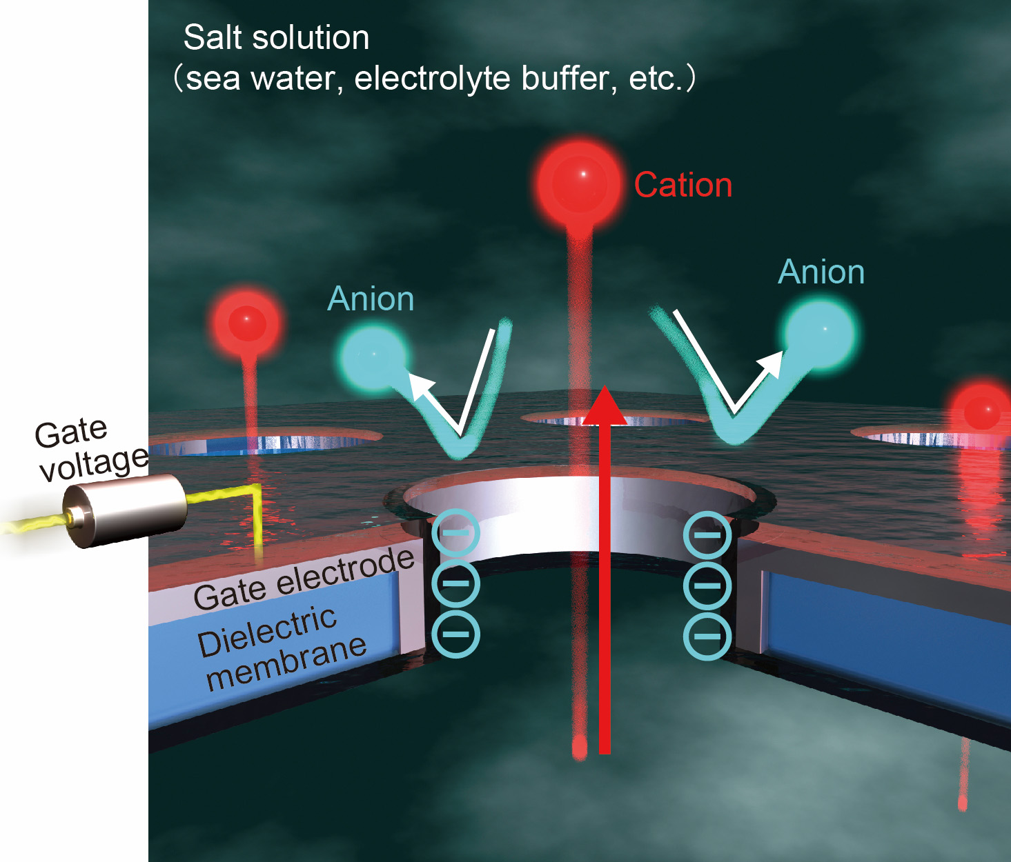 Gate-Voltage-Control-of-Ion-Selectivity-in-a-Nanopore.jpg