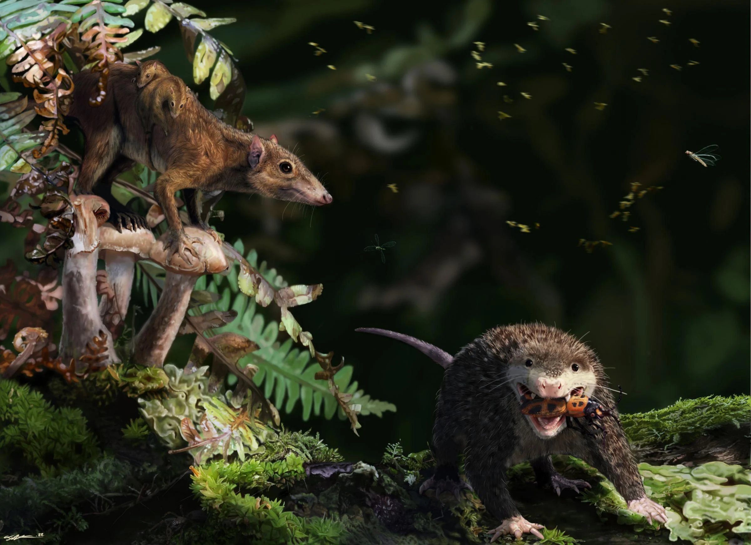 Reconstruction-of-Early-Mammals.webp