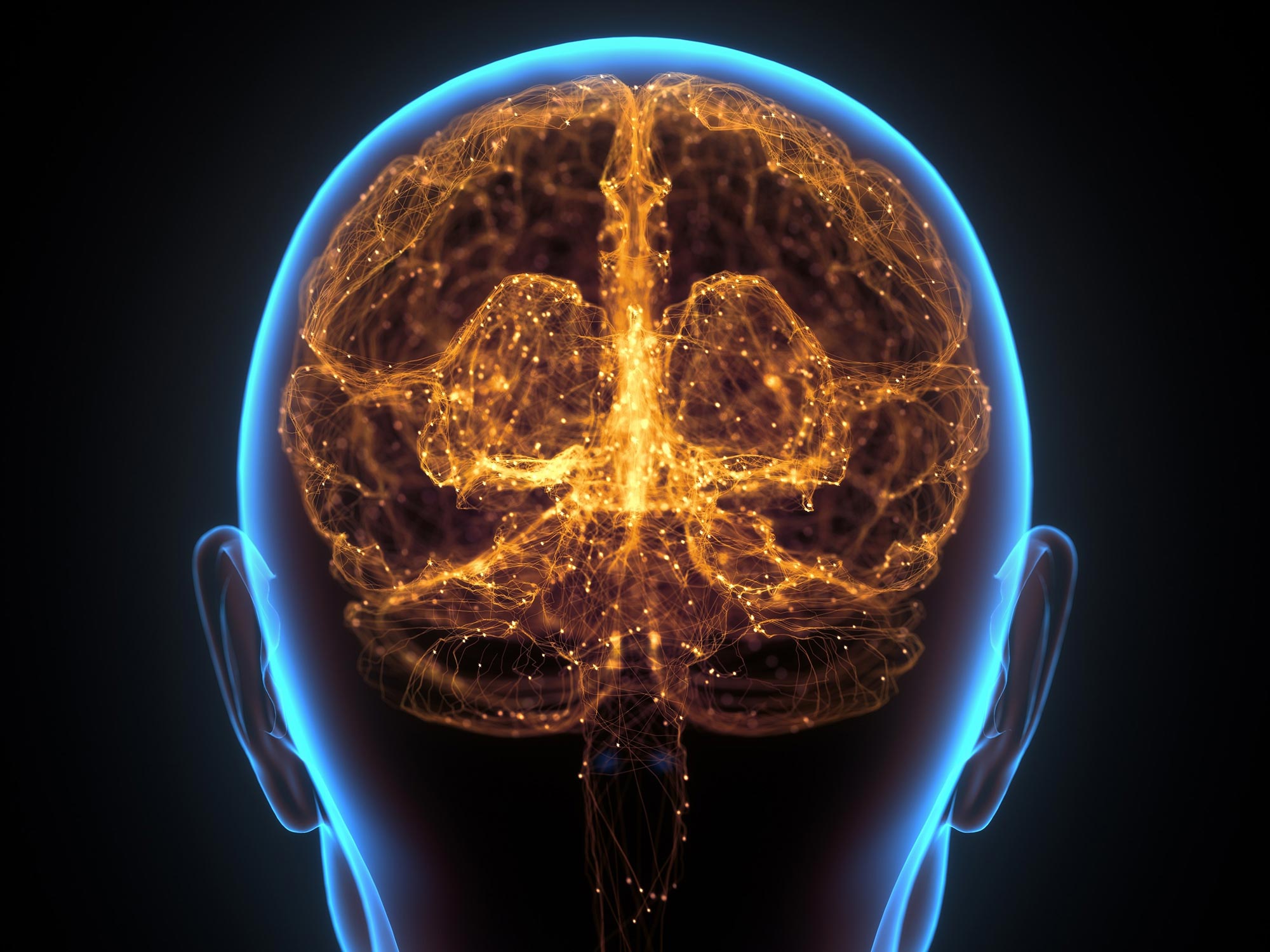 Human-Brain-Neural-Network-Cerebral-Cortex.jpg
