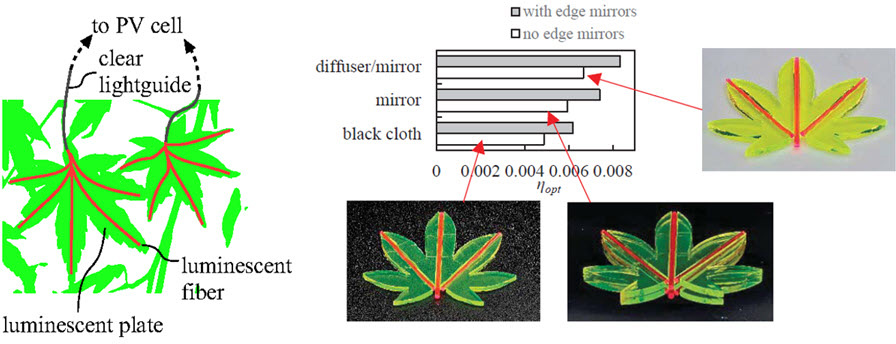 Maple-Leaf-Shaped-Luminescent-Solar-Concentrator.jpg
