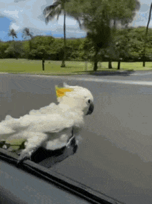 6a5d42e94bb941108a165a40cdc96005.gif