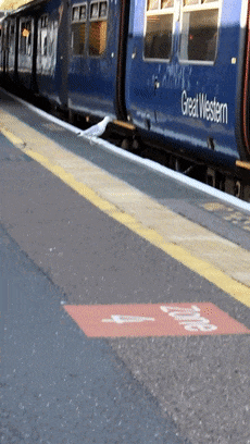 a835a34fad8641469a4c5f4bd4136595.gif