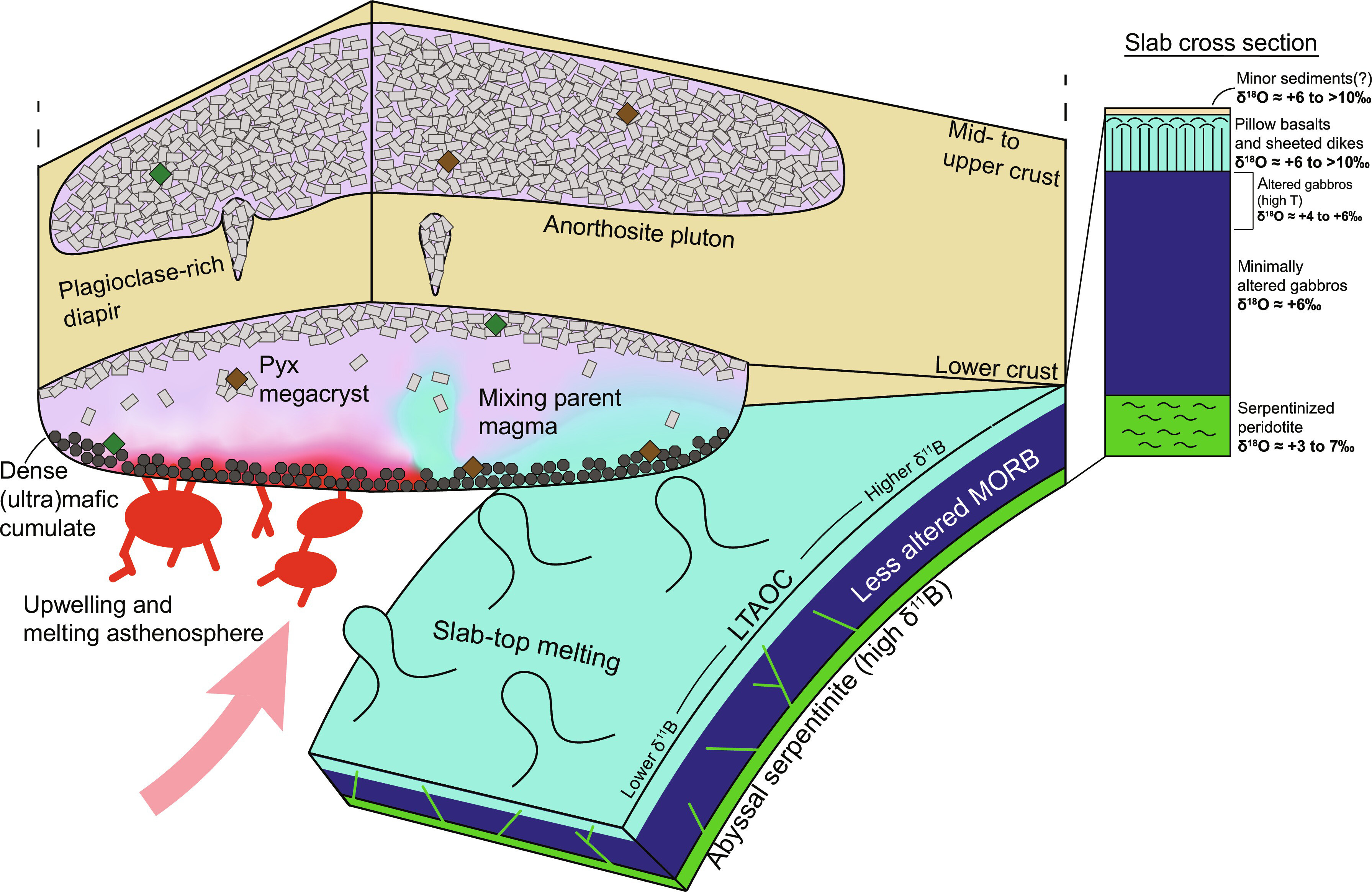 sciadv.adn3976-f6.jpg
