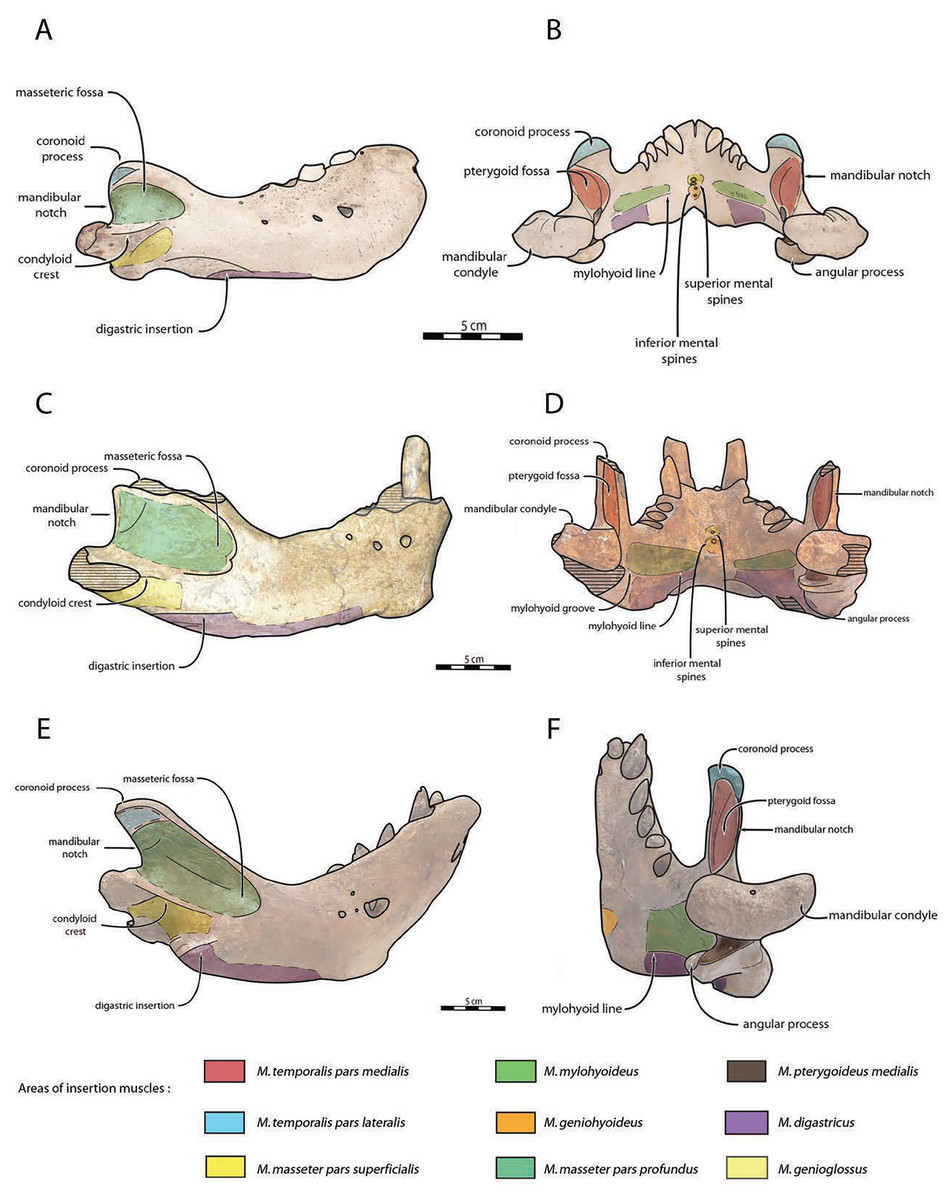 fig-10-2x.jpg