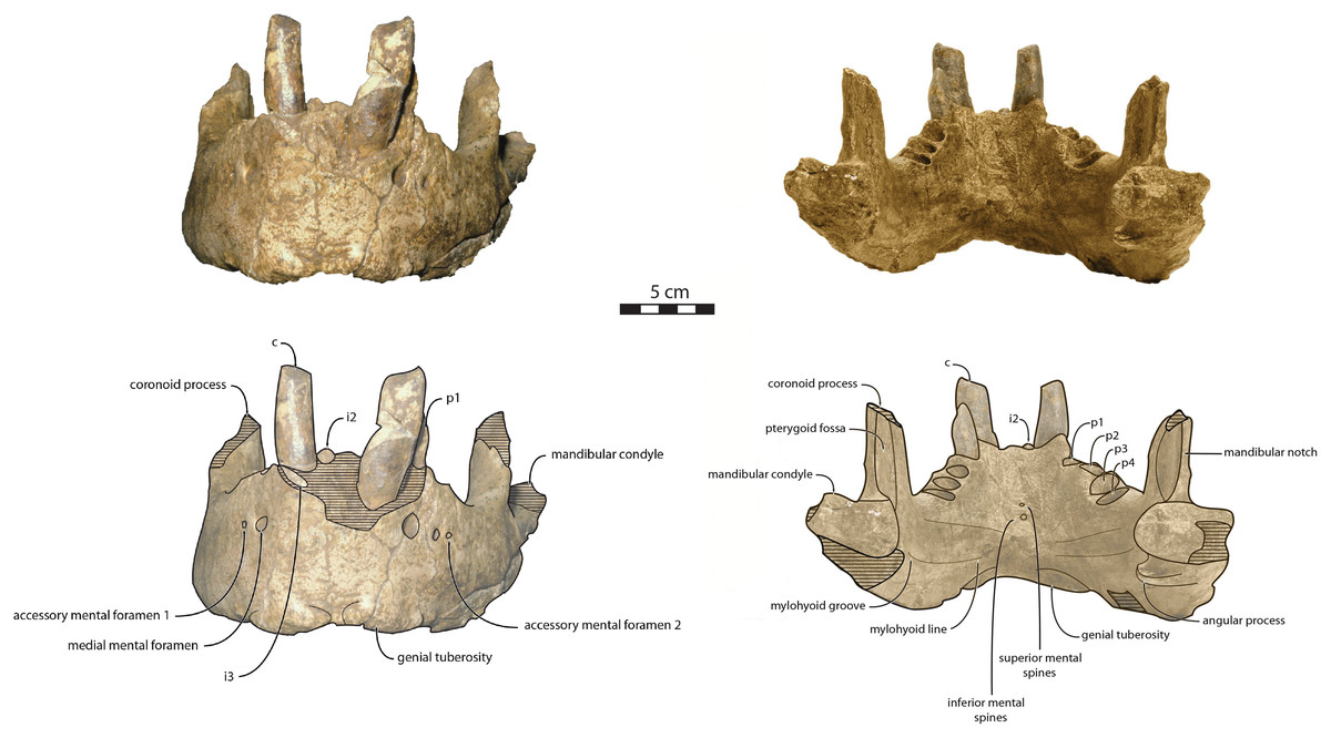 fig-4-2x.jpg