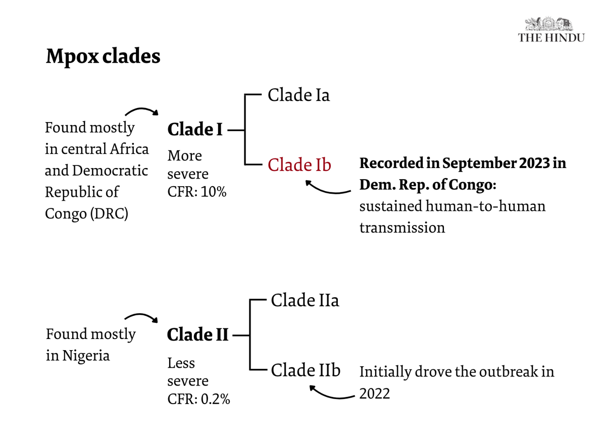 Clade I.webp