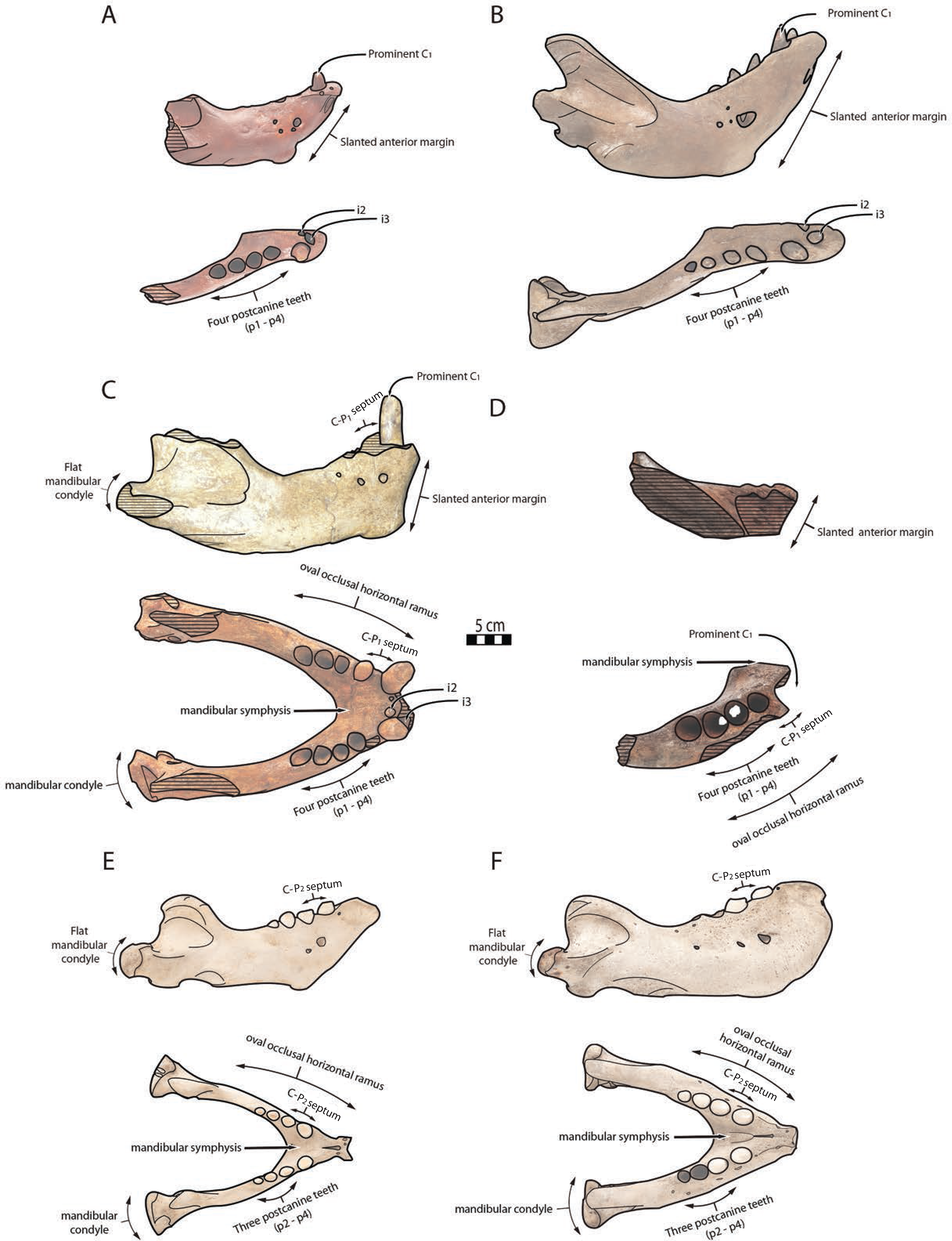 fig-6-full.png