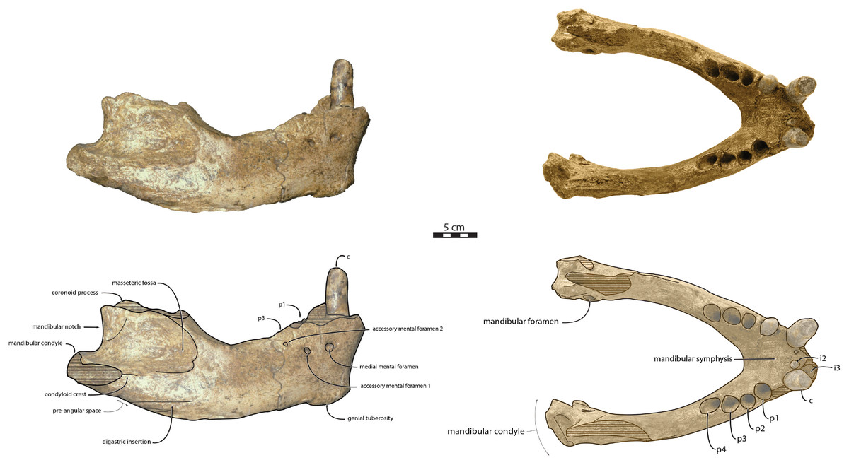 fig-3-2x.jpg