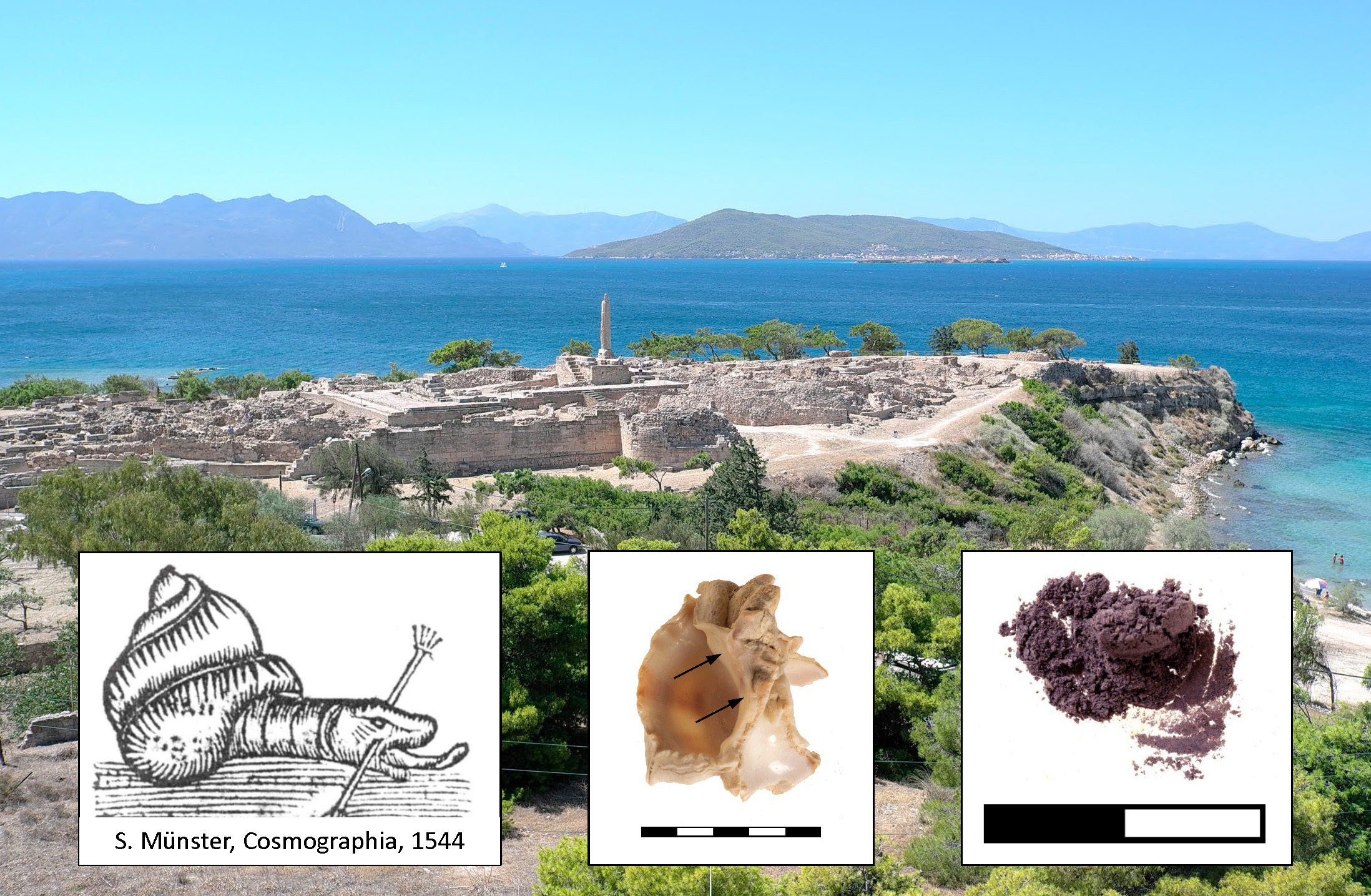 Bronze-Age-Purple-Dye-Workshop-Graphic.jpg