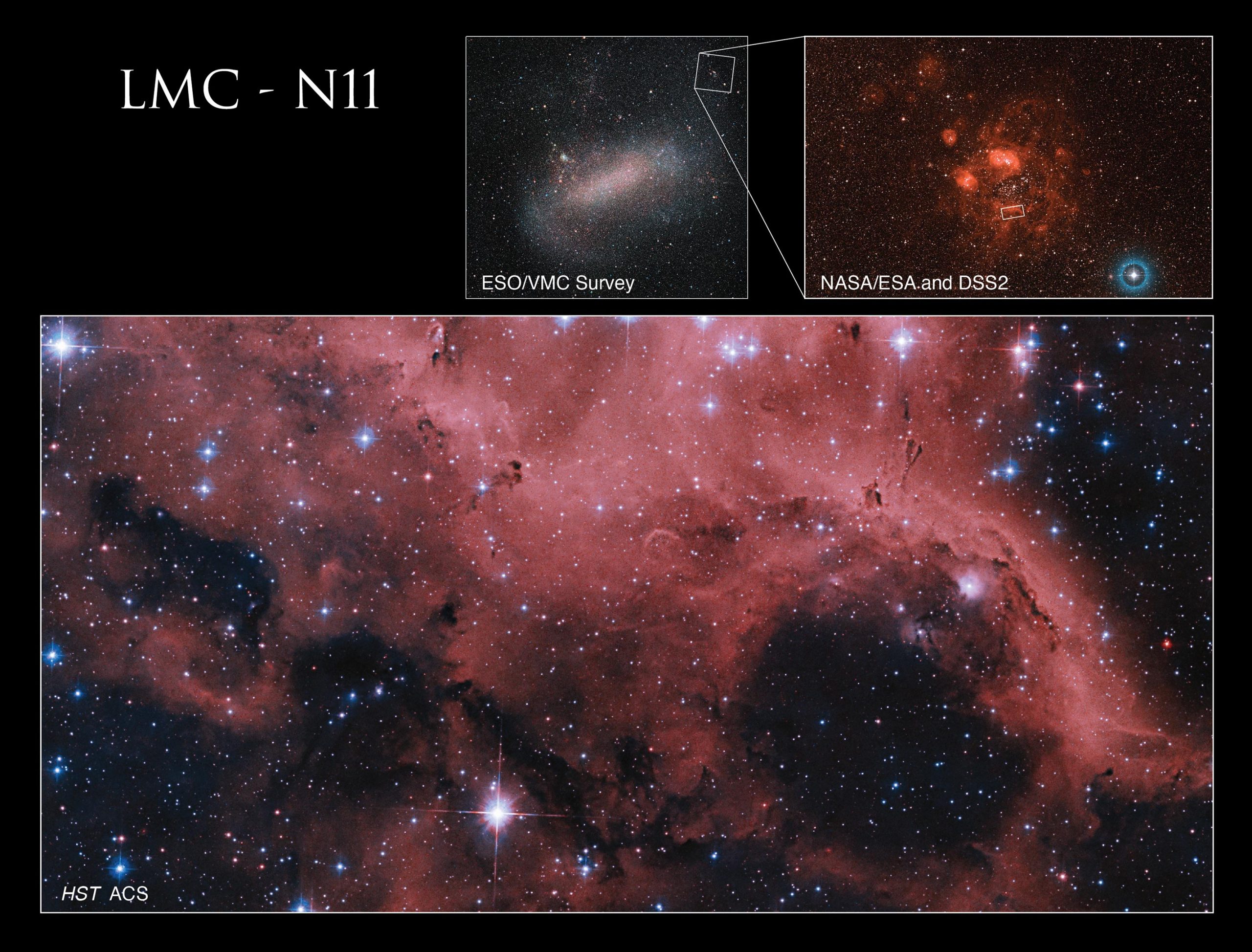 Large-Magellanic-Cloud-LMC-N11-scaled.webp