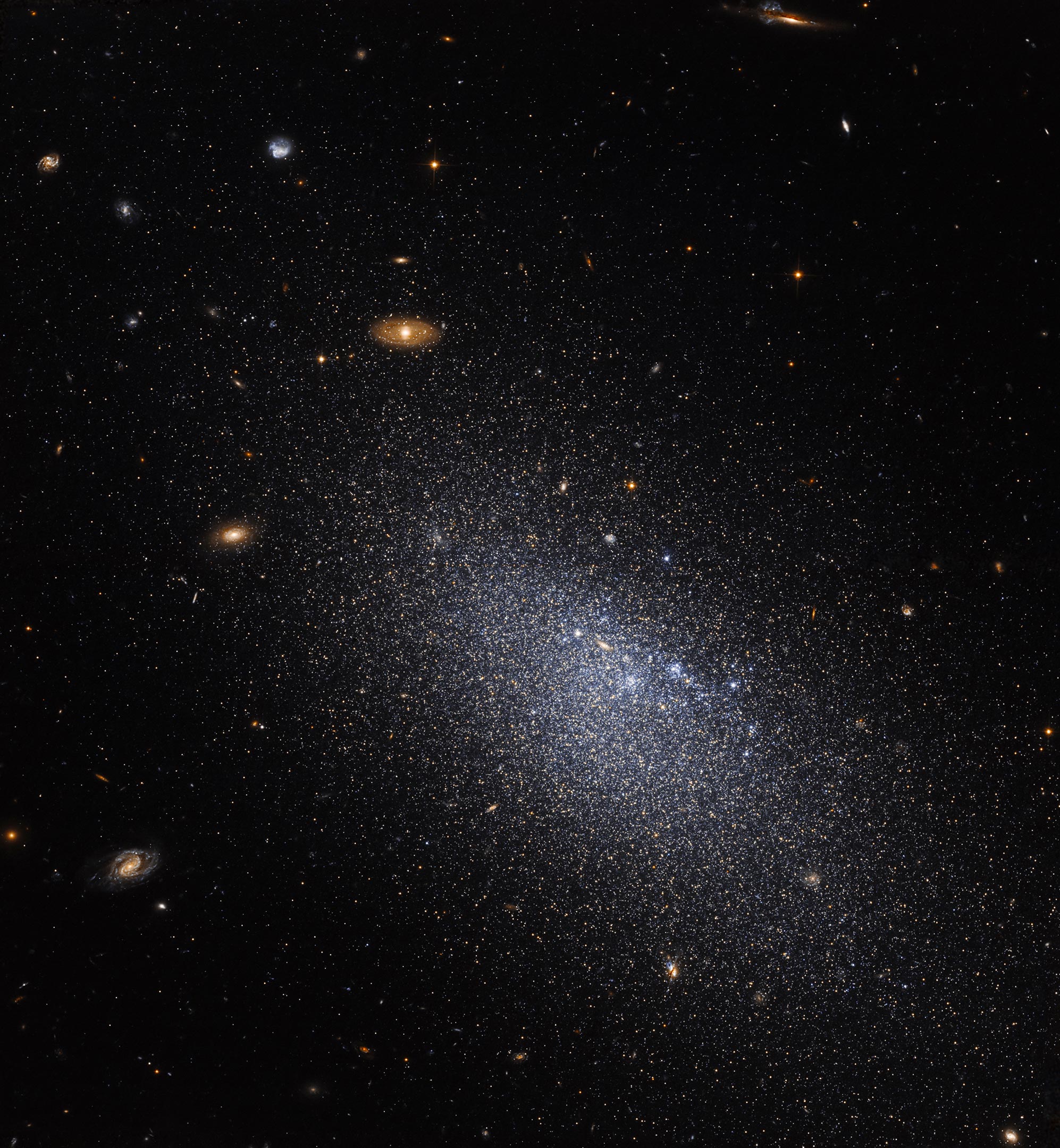 VV124-UGC-4879.jpg