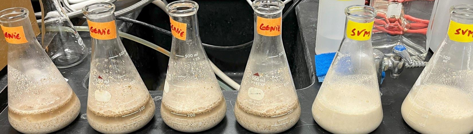 Beer-Microgravity-Fermentation.jpg