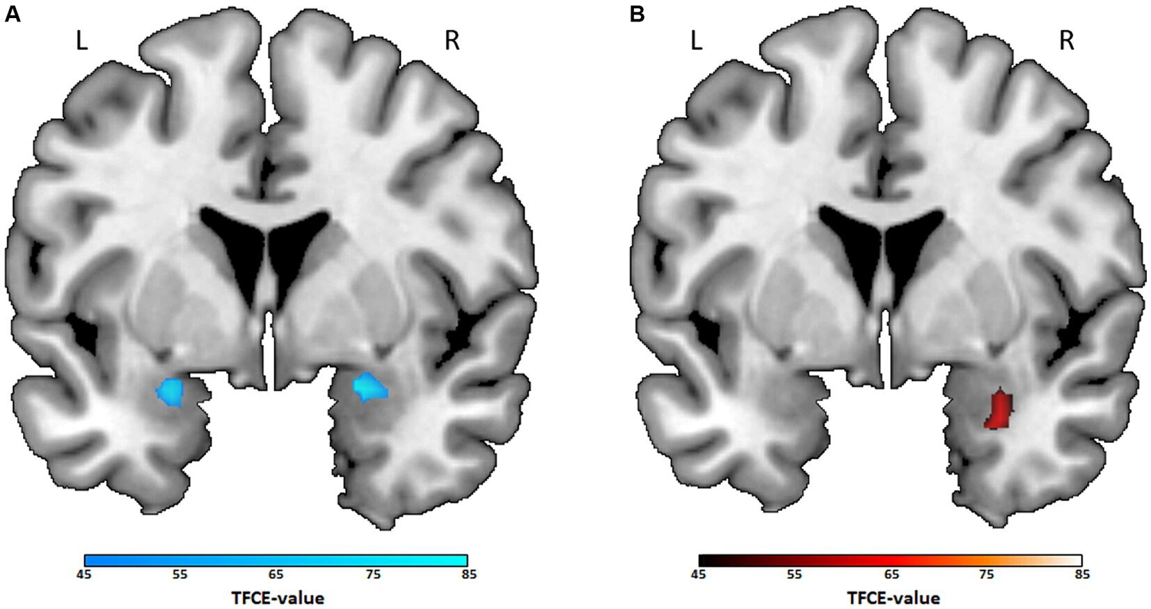 study-shows-what-your.jpg