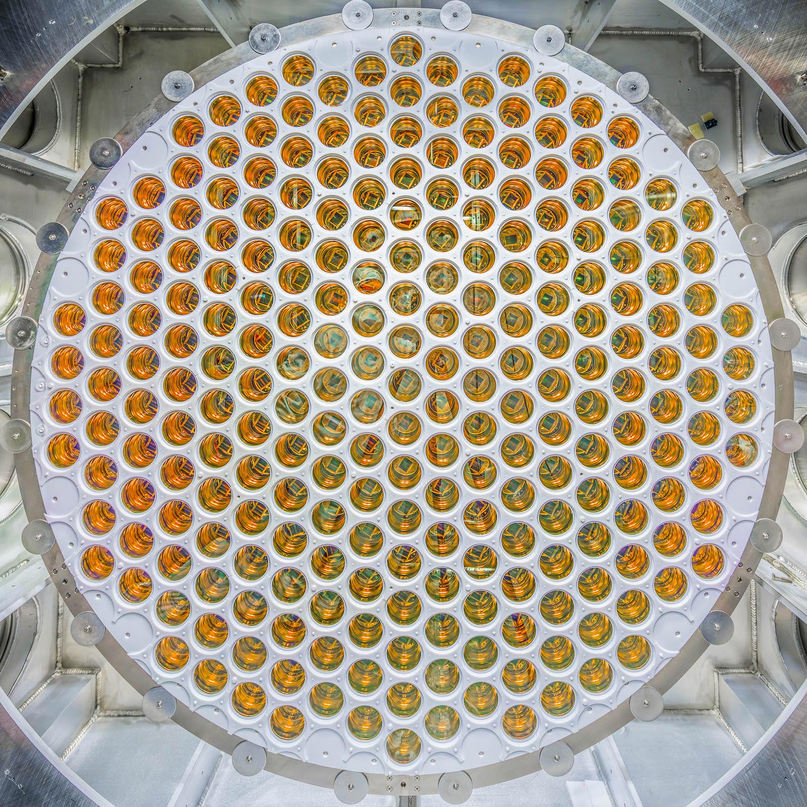 LZ-Photomultiplier-Tubes.jpg