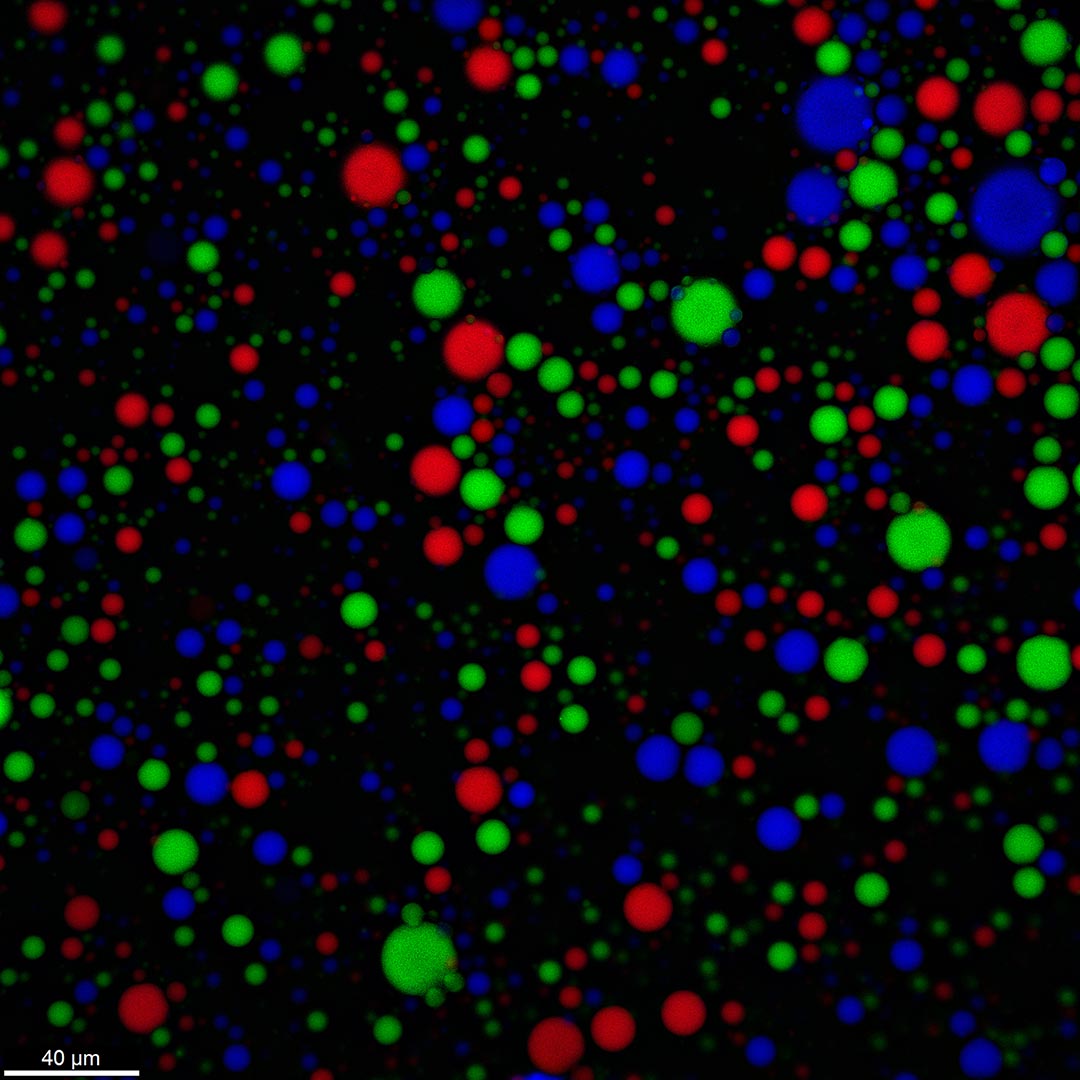 Coacervate-Protocells.jpg