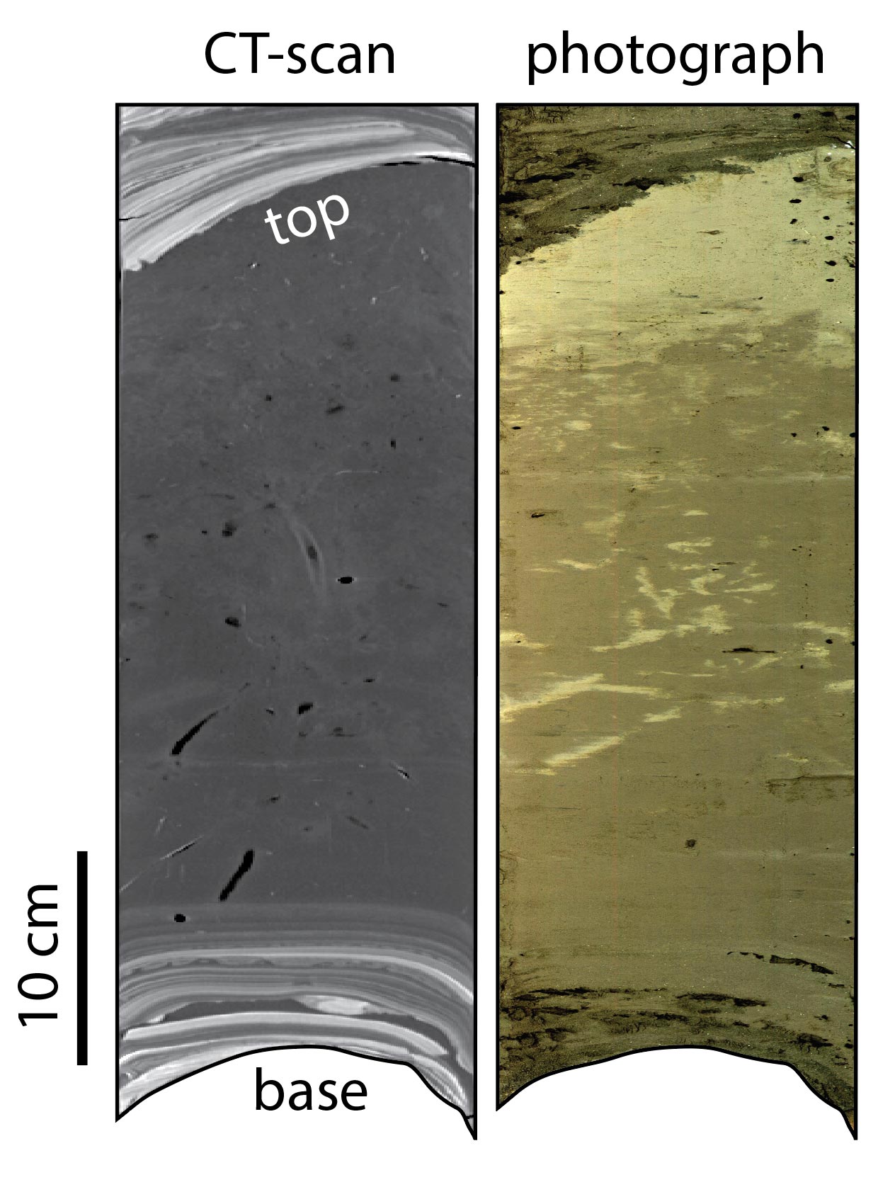Turbidite-CT-and_Photo.jpg
