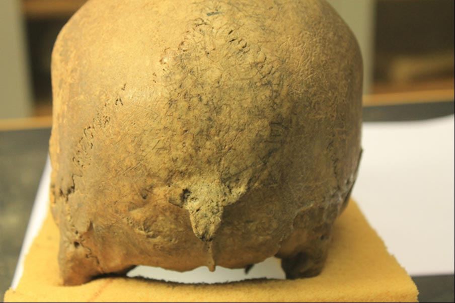 Viking-Skull-With-Antemortem-Damage.jpg