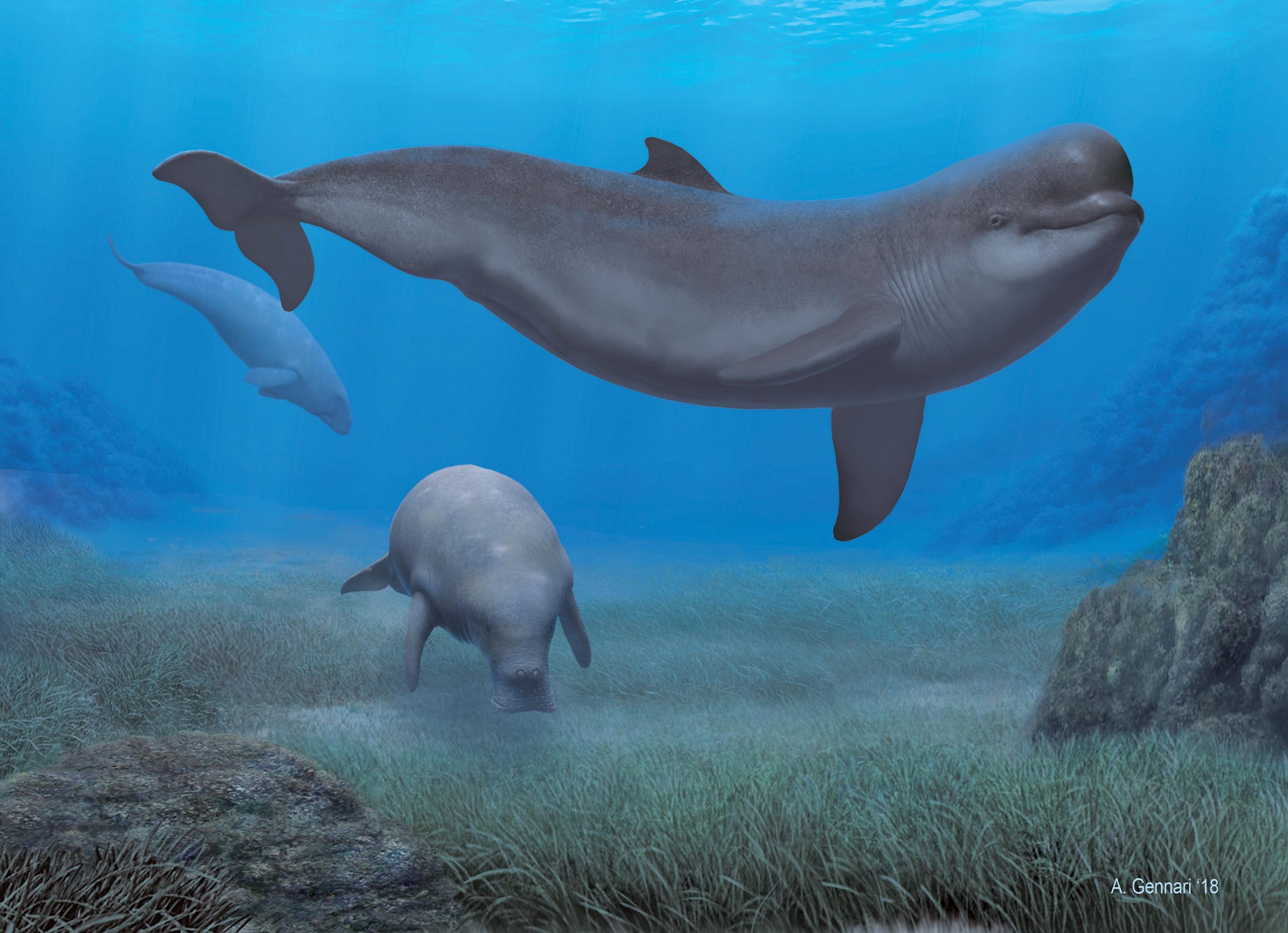 Early-Pliocene-Scenario-Marine-Mammals-Reconstruction-scaled.jpg