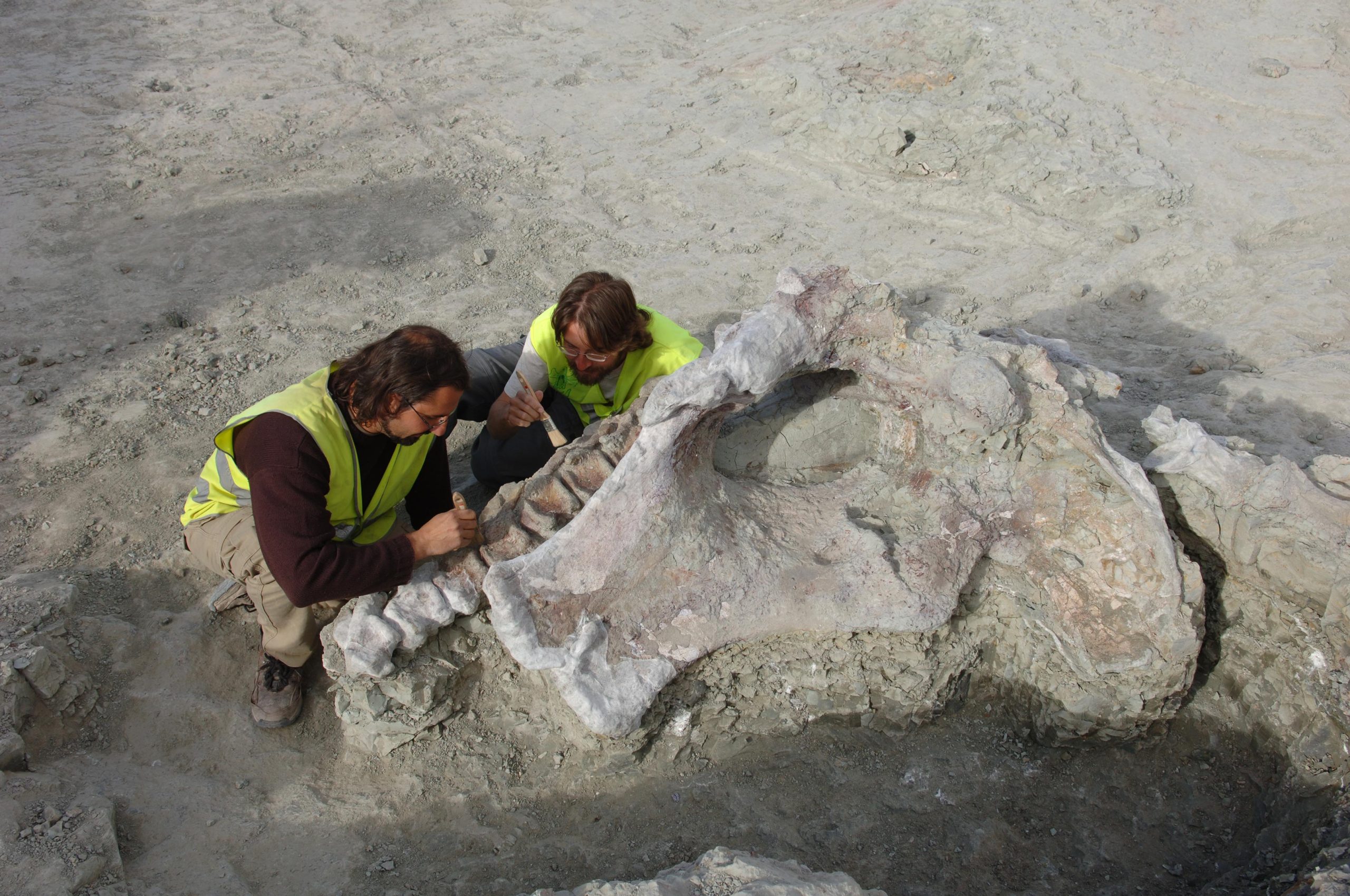 Lo-Hueco-Site-During-Qunkasaura-Excavation-scaled.jpg