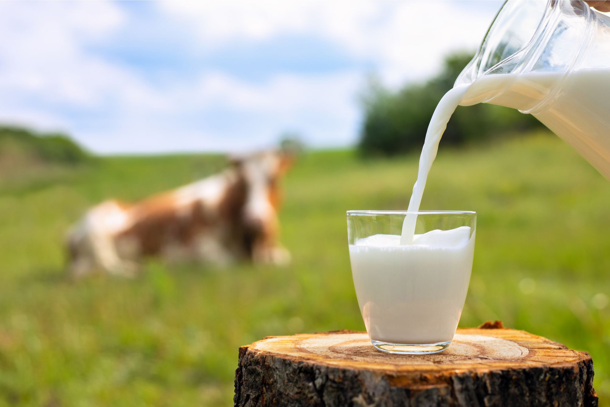 Raw-Milk.jpg