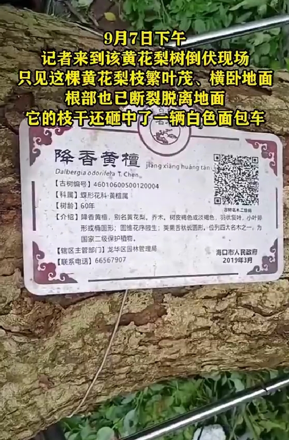 f298cf2389b84d979115ba8b9884aaef.jpg