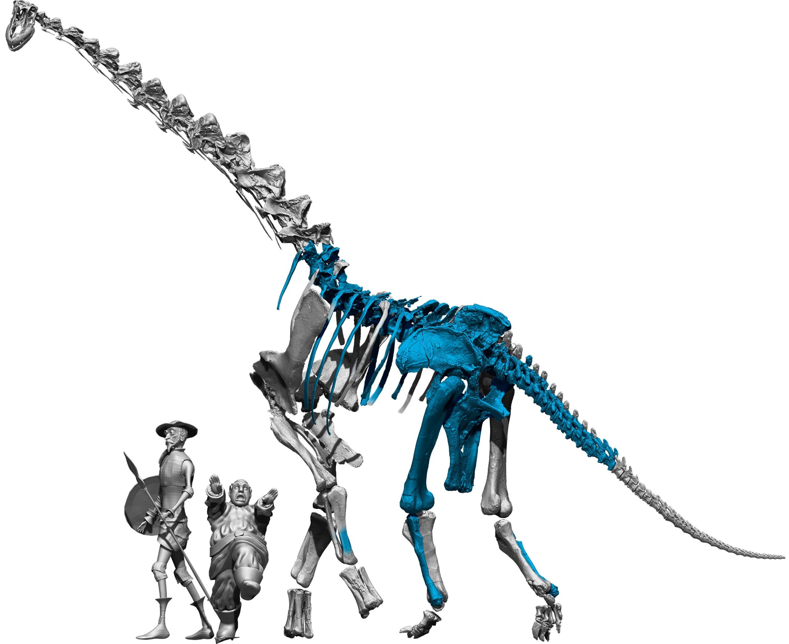 3D-Reconstruction-of-Qunkasaura-Skeleton-scaled.jpg