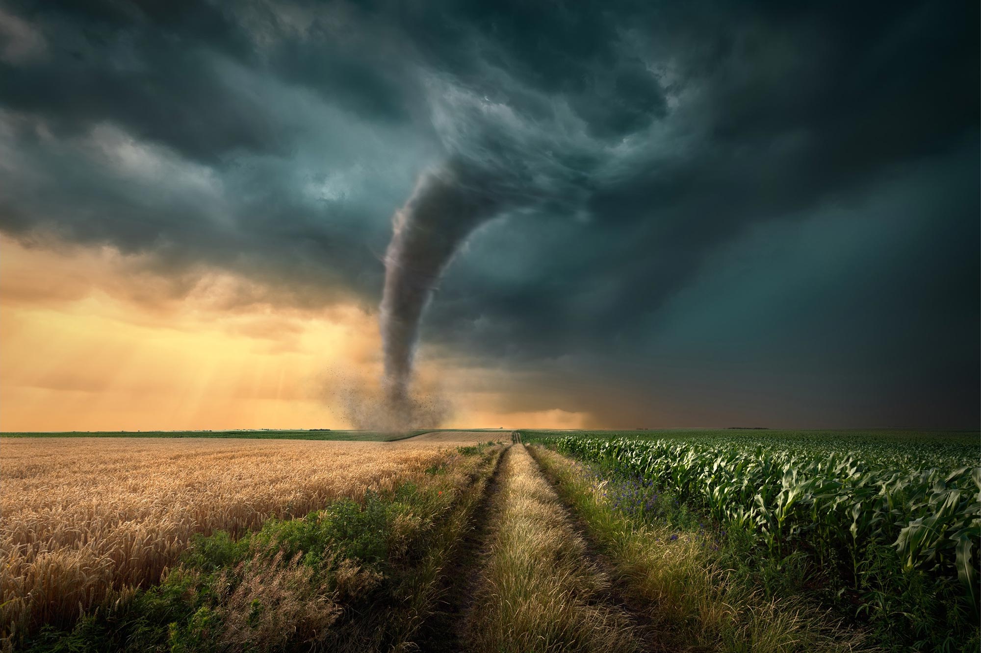 Tornado-Farm-Field.jpg
