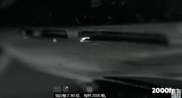 2939dfa4379d4da0ac4fc3d792cad437.gif