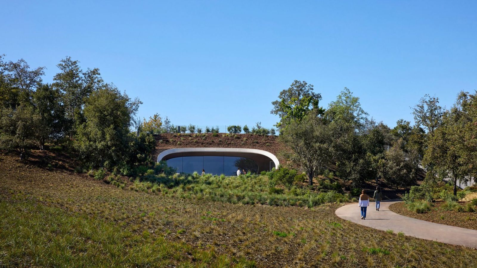 Apple-Park-The-Observatory-Outside.jpg