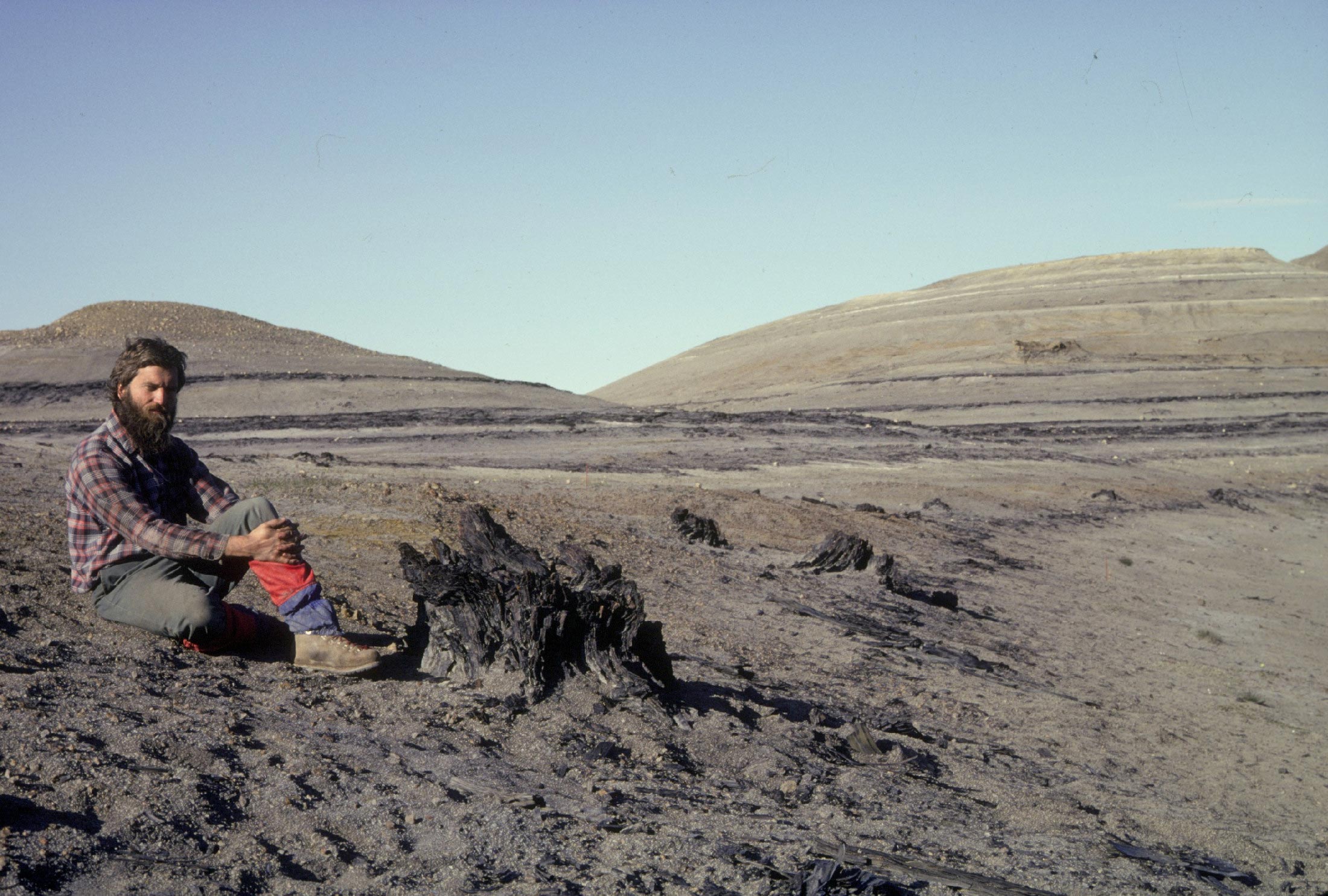 Fossilized-Tree-Stumps-of-Axel-Heiberg-Island.jpg