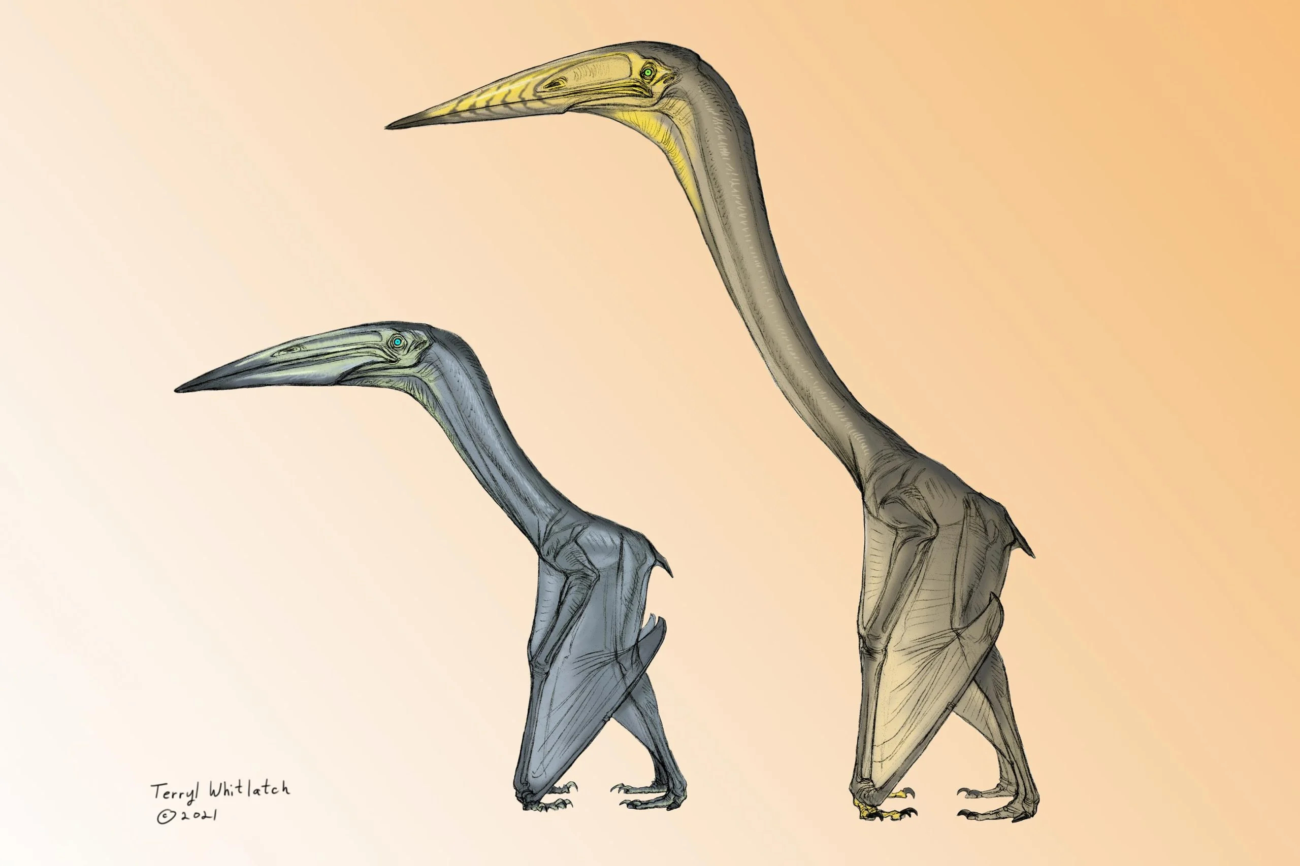 Inabtanin-alarabia-and-Arambourgiania-philadelphiae-Illustration-scaled（WEBP 图像，2560x1707 像素） — 缩放 (50-.jpg