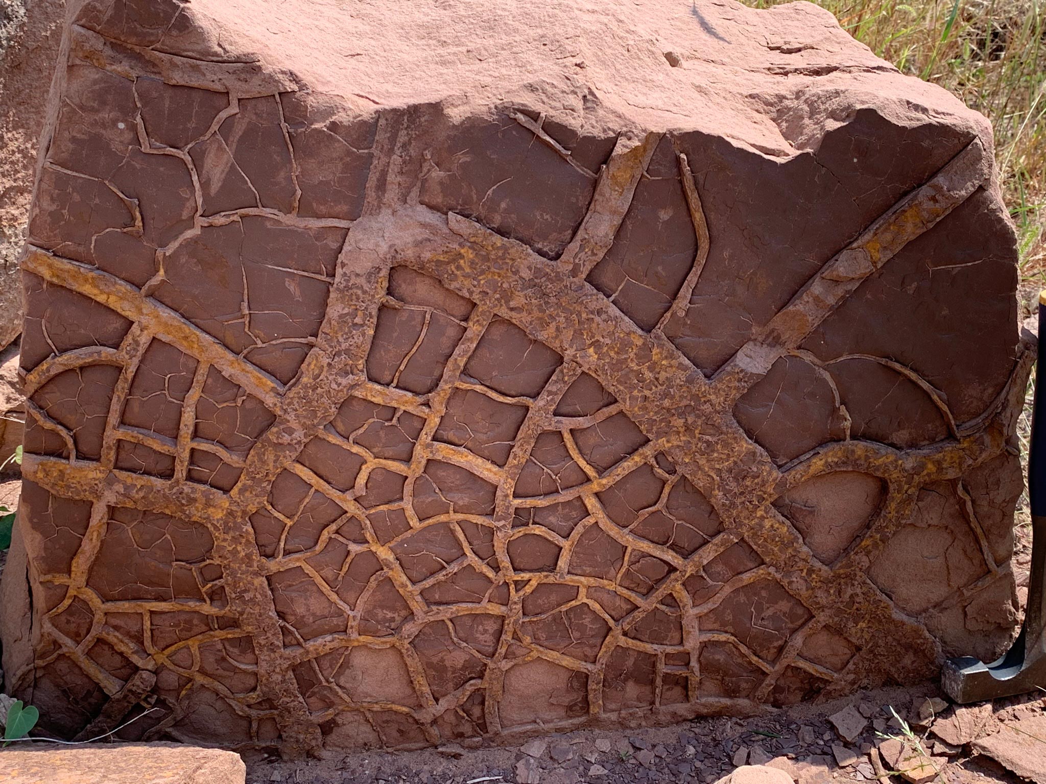 Geological-Field-Section-Reveals-Desiccated-Land-Surface.jpg